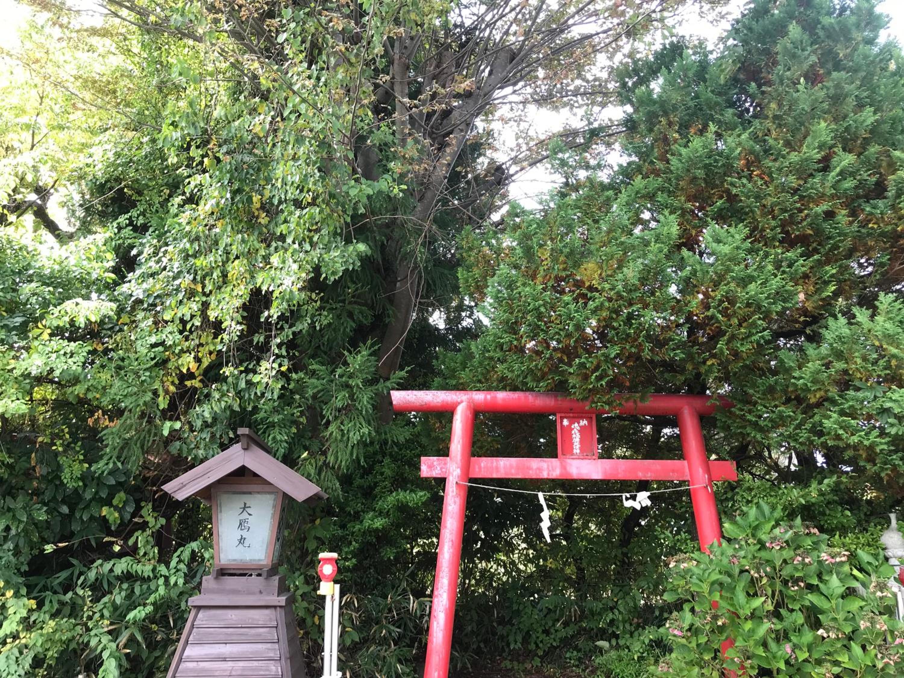 Photo 26