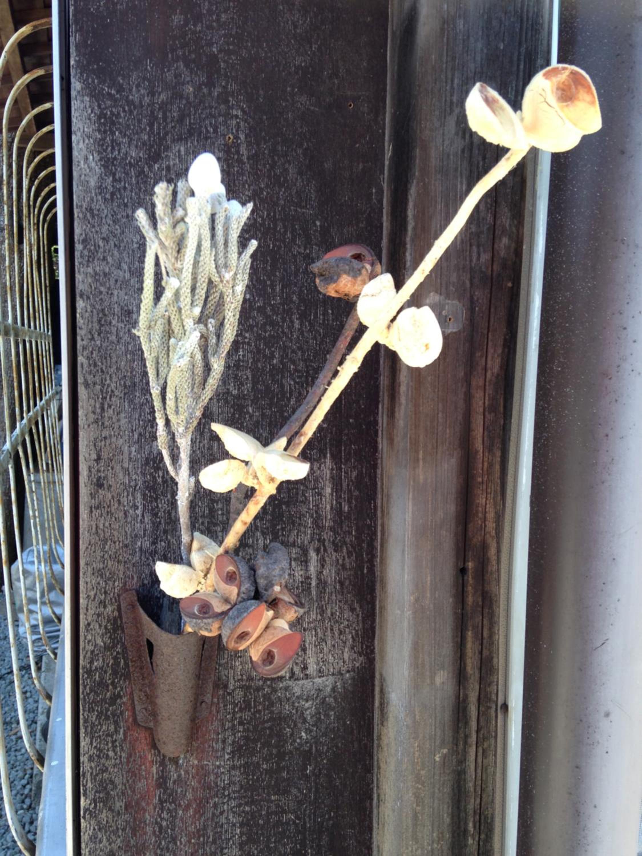 Photo 24