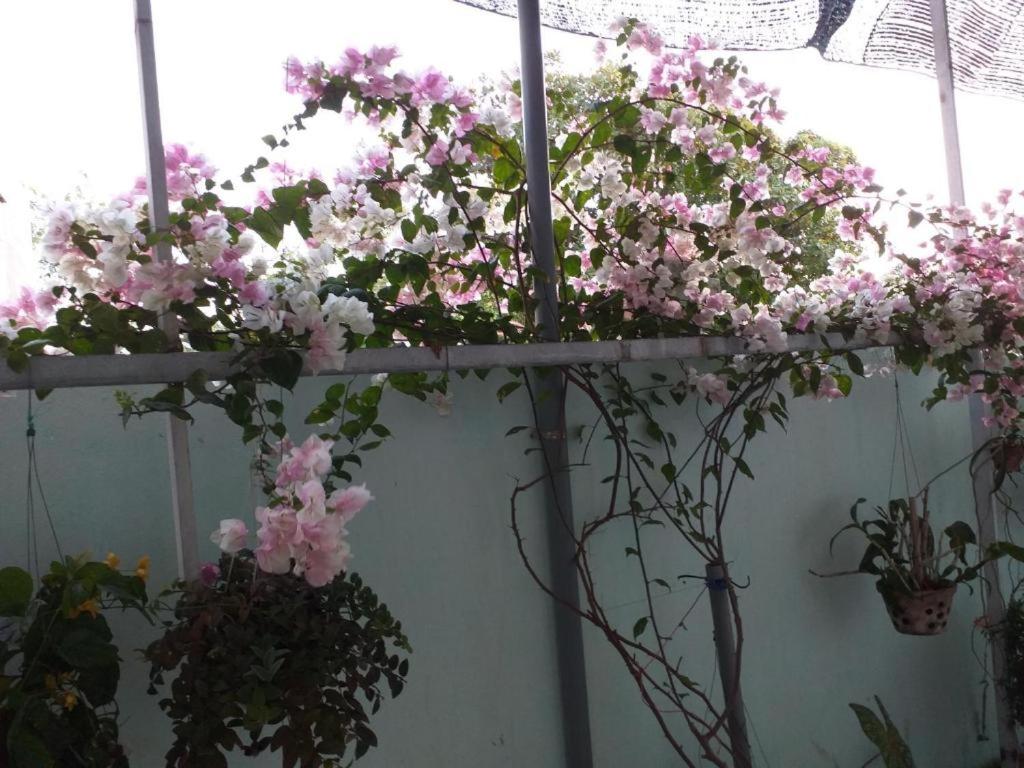 Photo 24