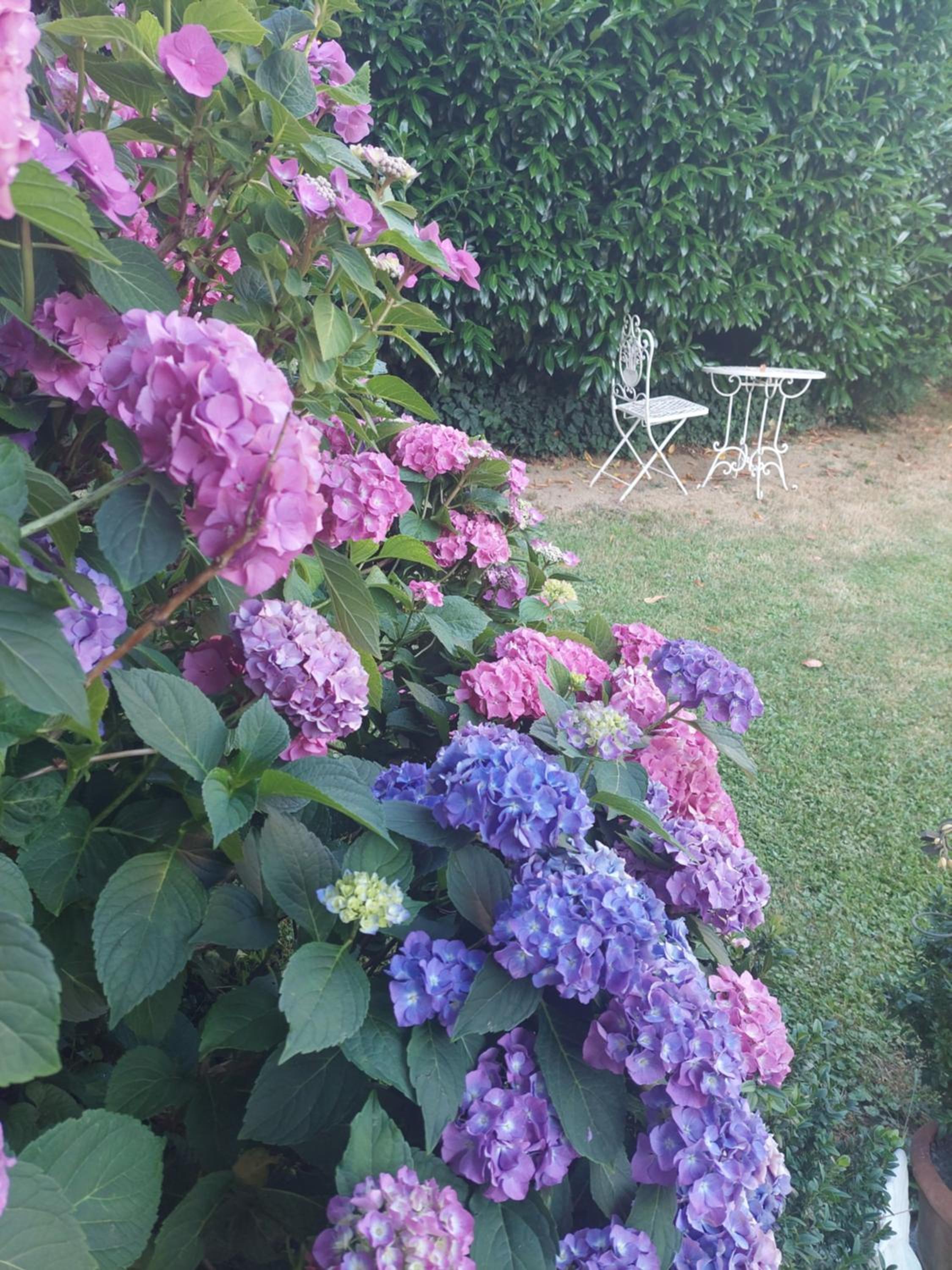 Anna's Home - Ferienwohnungen view 2