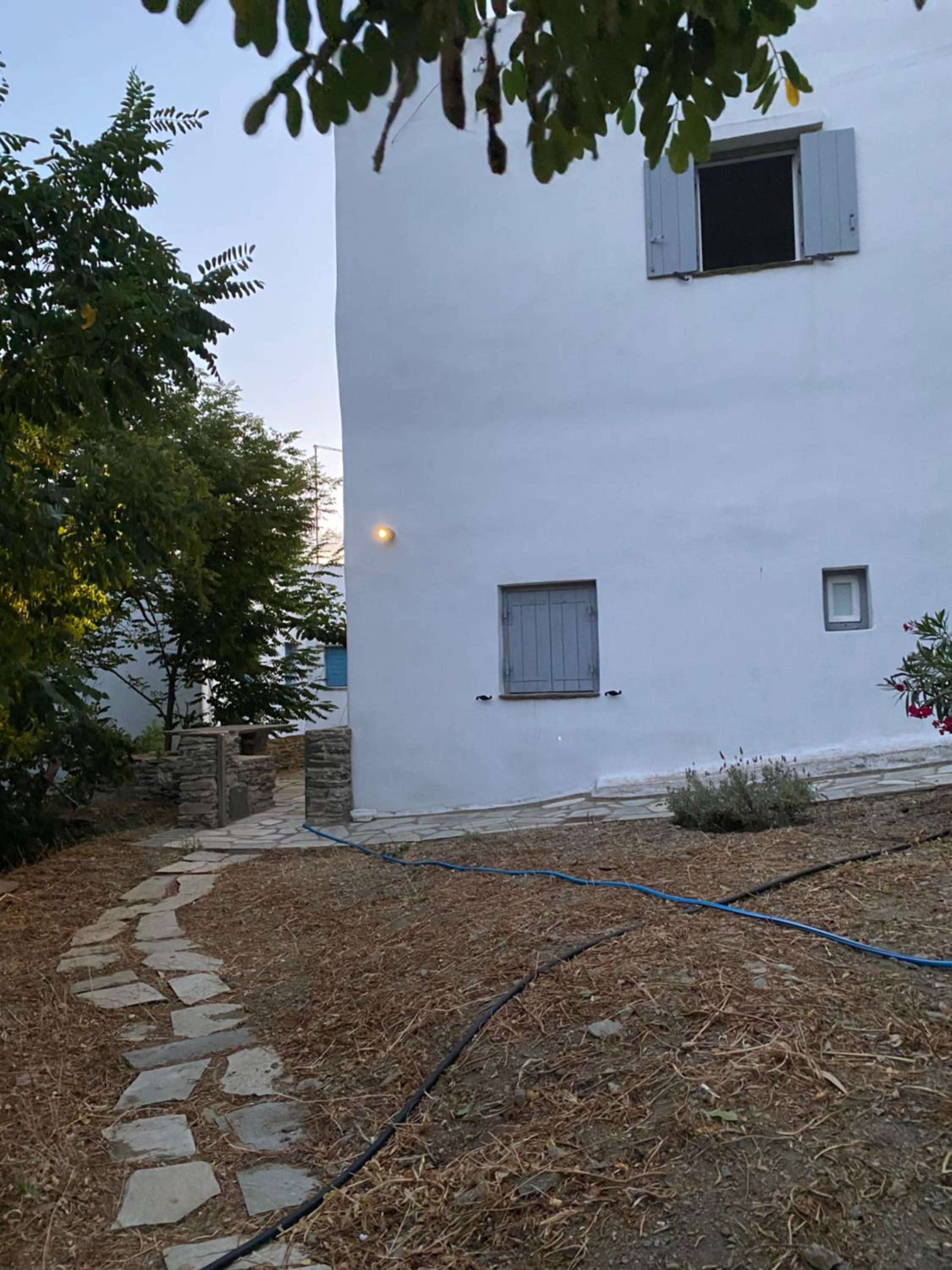 Photo 29