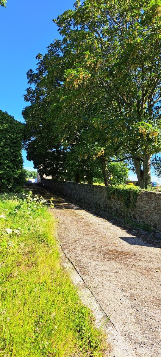 Ardkeen House B&B view 4