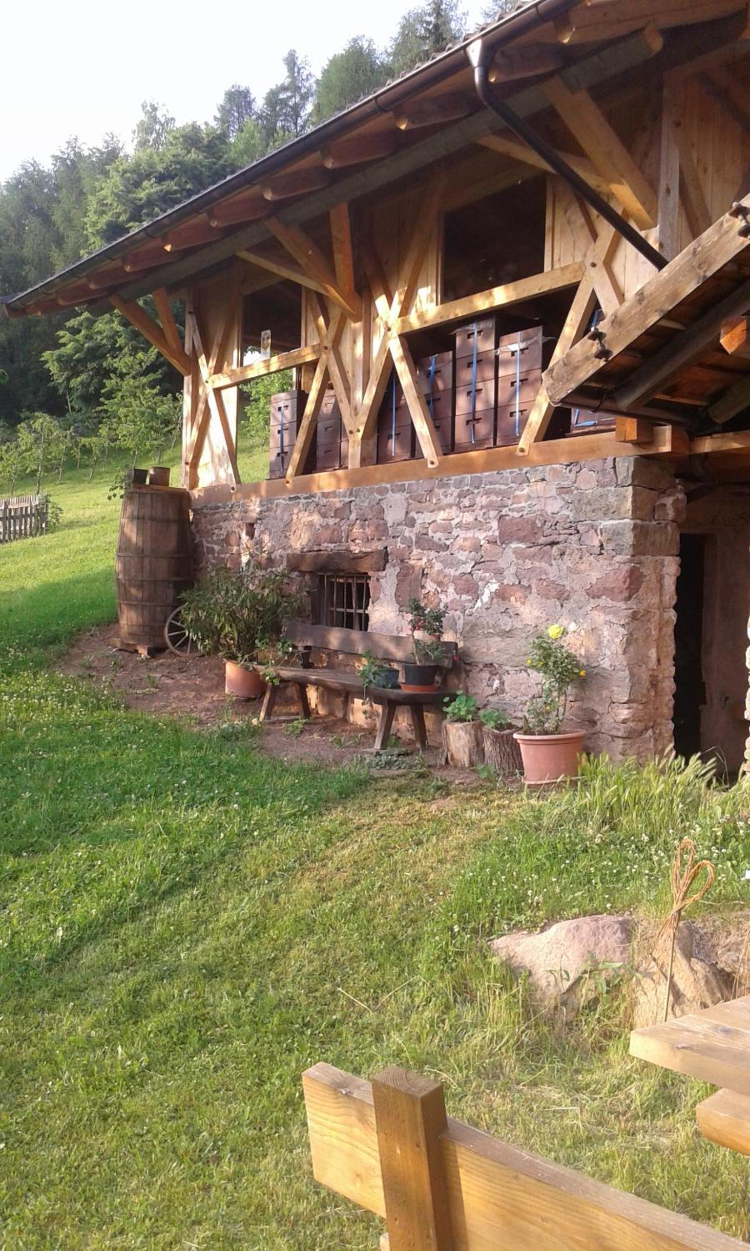 Eichernhof Apartment Apfelblüte