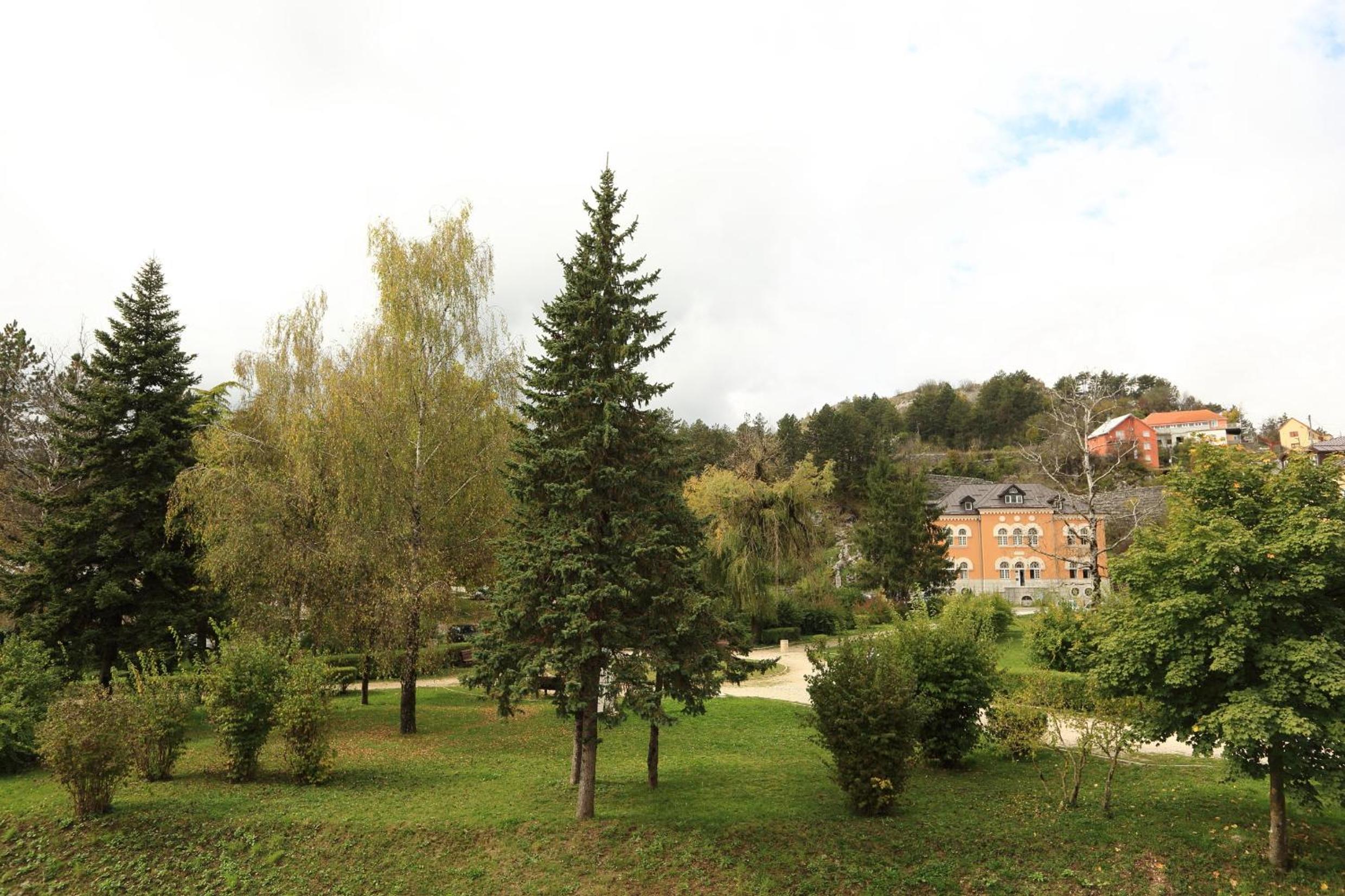 Photo 10