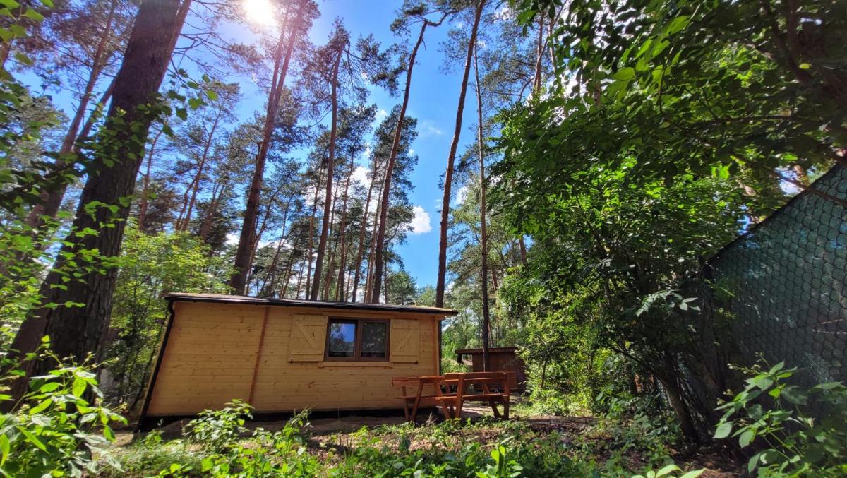 Ośrodek Moje El Dorado - domki letniskowe view 3