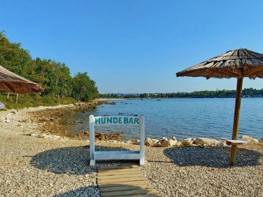 Porec Vacations - Villa Chiara with Private Pool and garden - Property Image 2