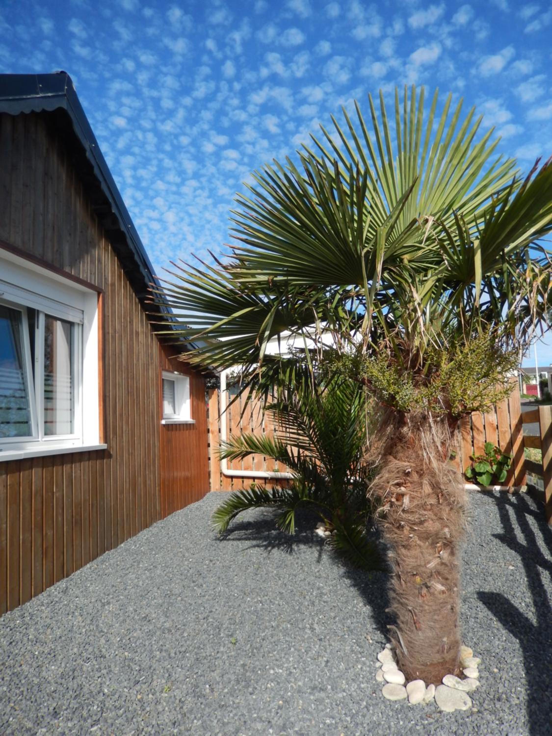 Chalet ALOHA view 2