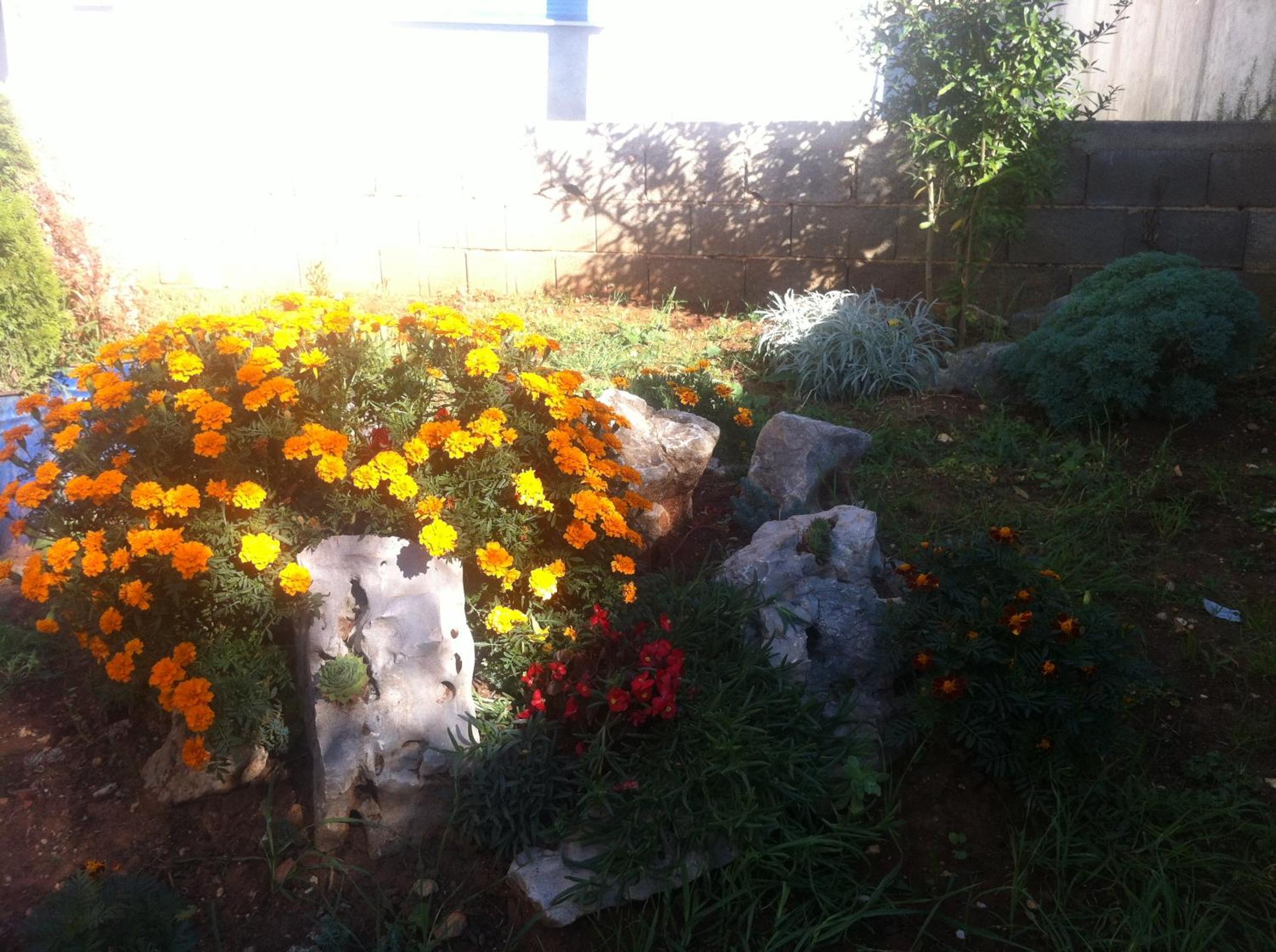 Photo 38