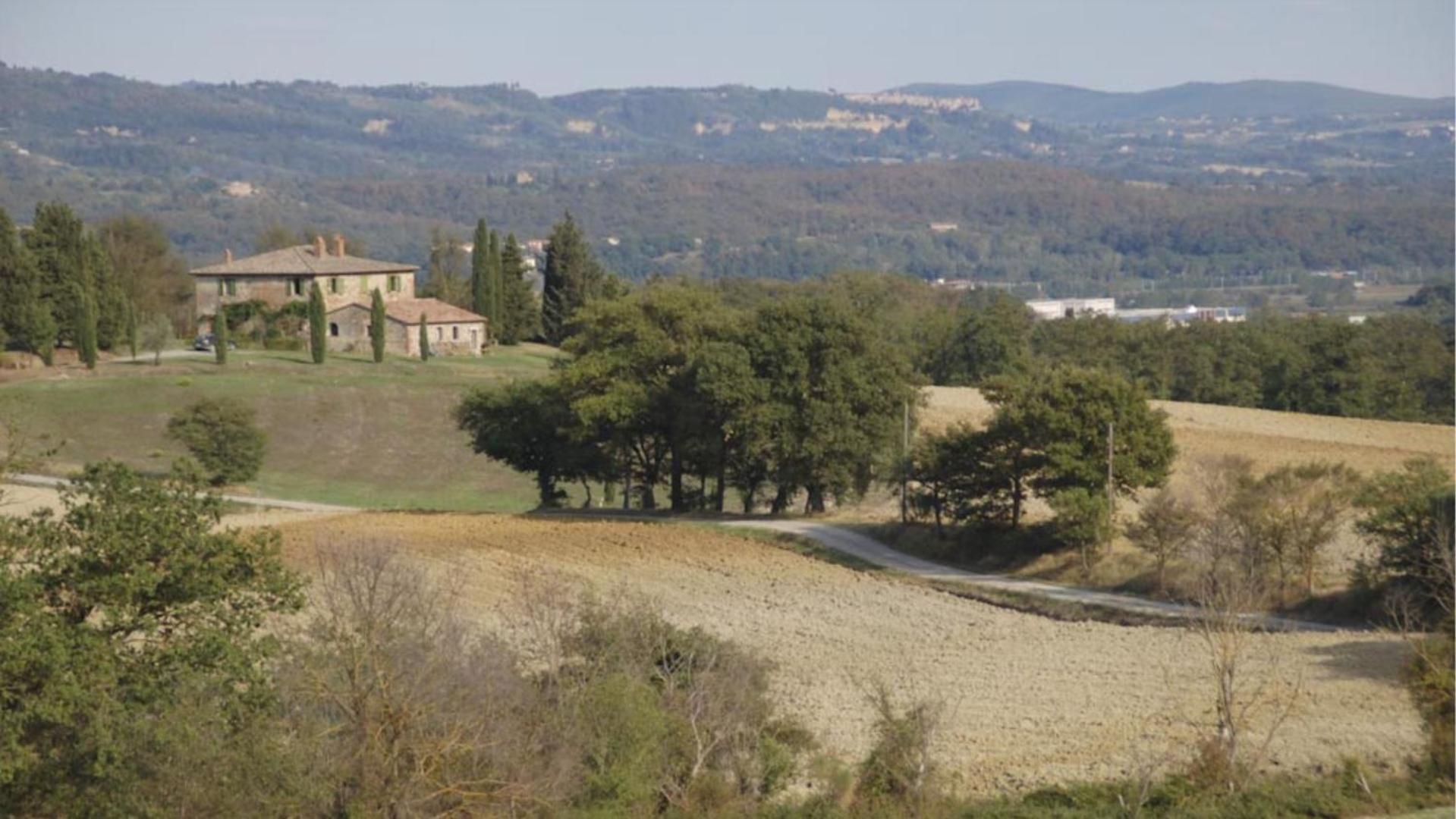 La casetta