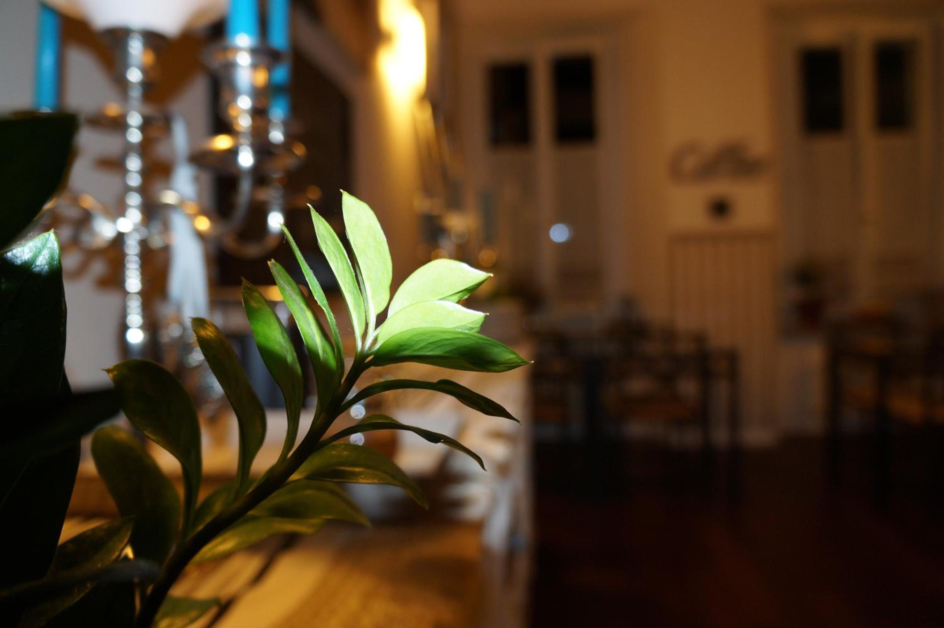 Domus San Martino GuestHouse, photo 75
