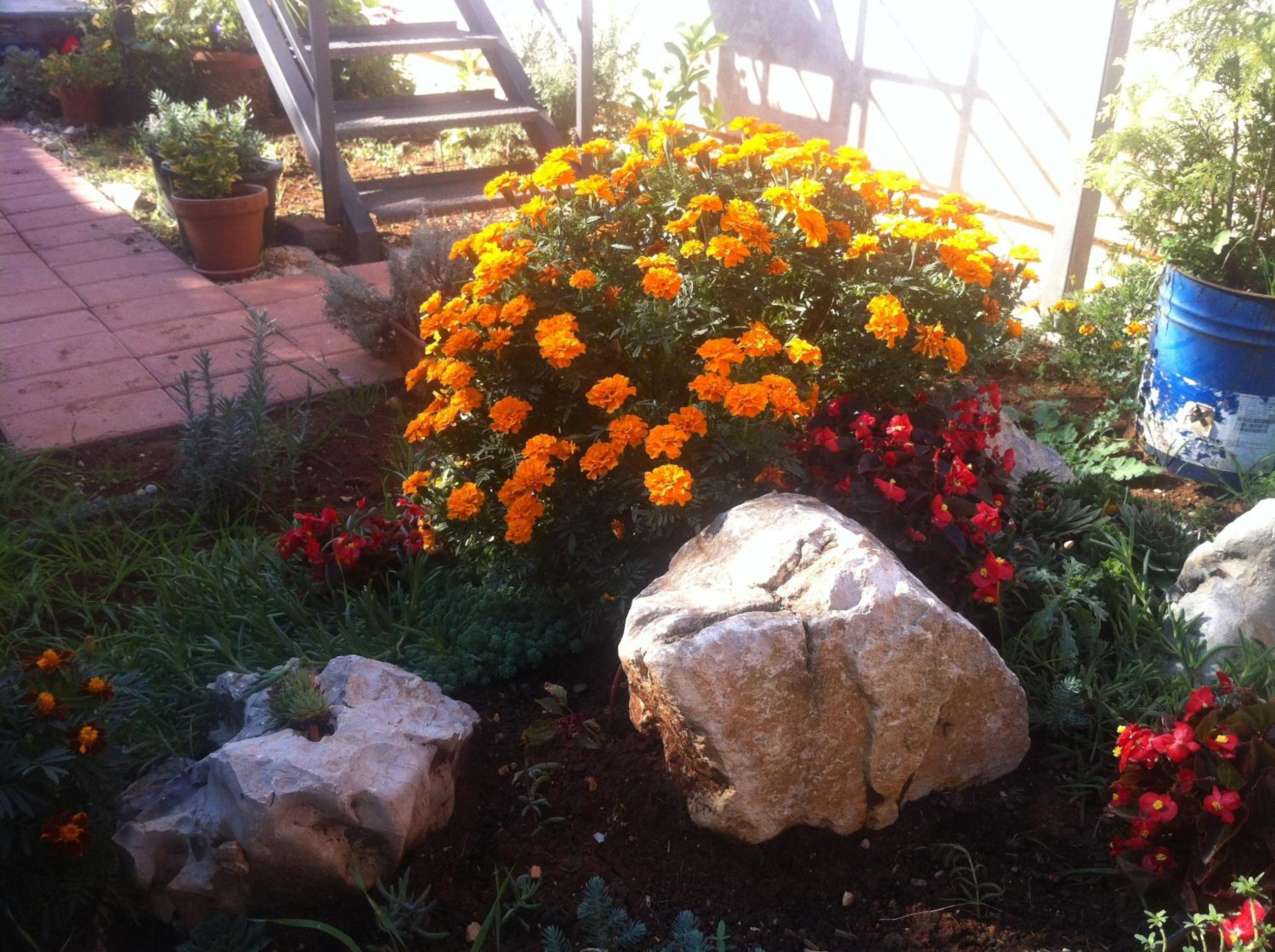 Photo 36