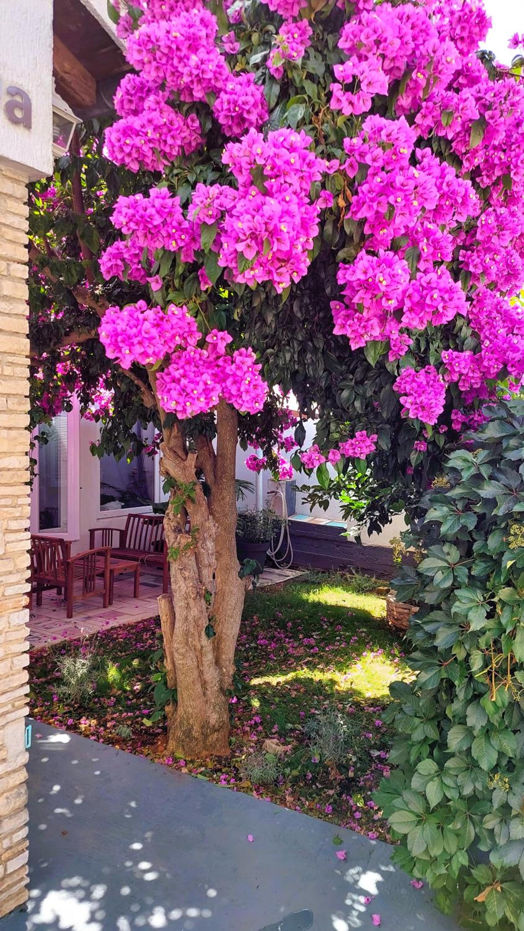 Holiday home Zora - family vacation house near protected area of the Nature Park Kamenjak, with green yard, WiFi, Air-con view 3
