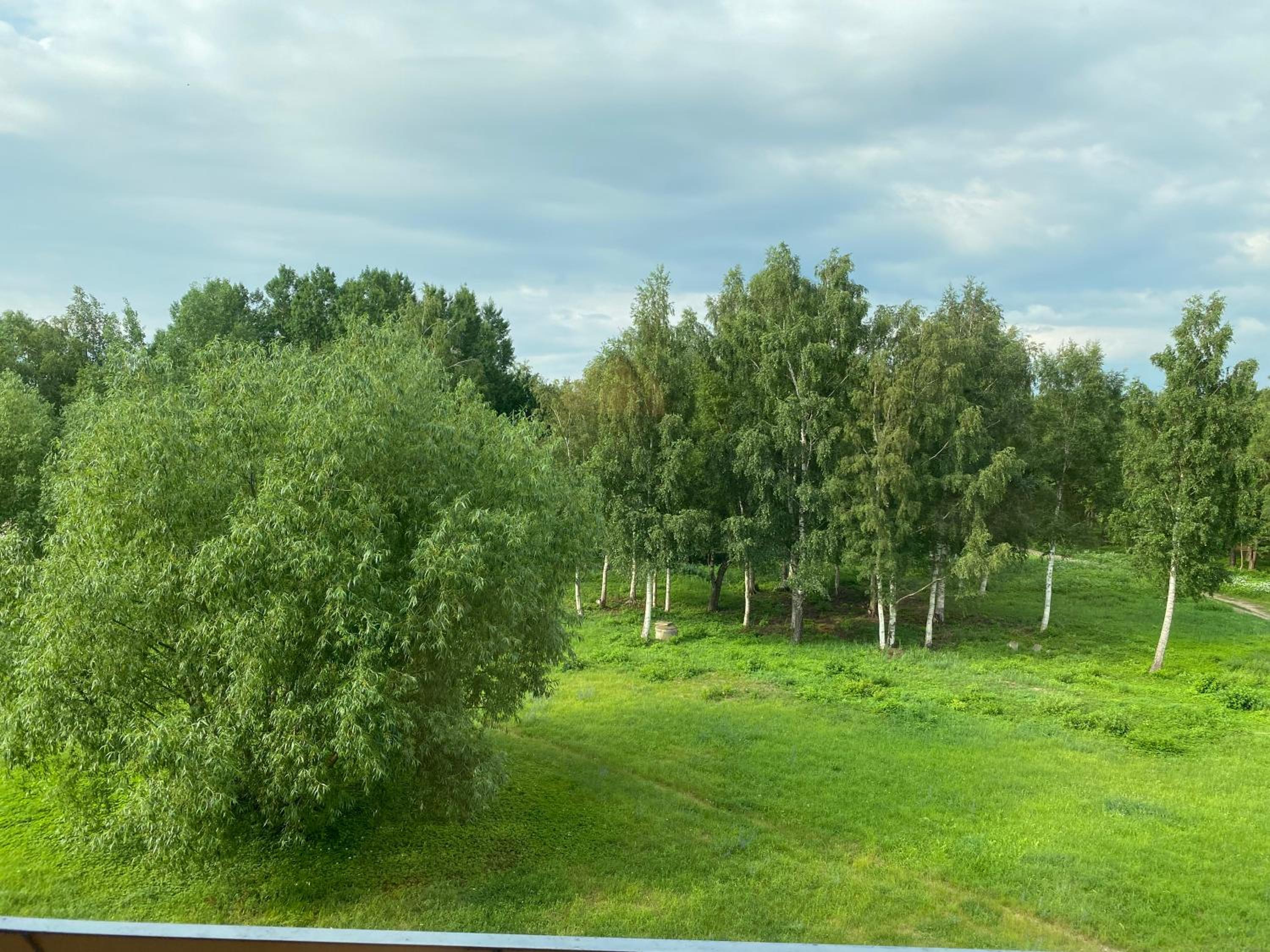Photo 23
