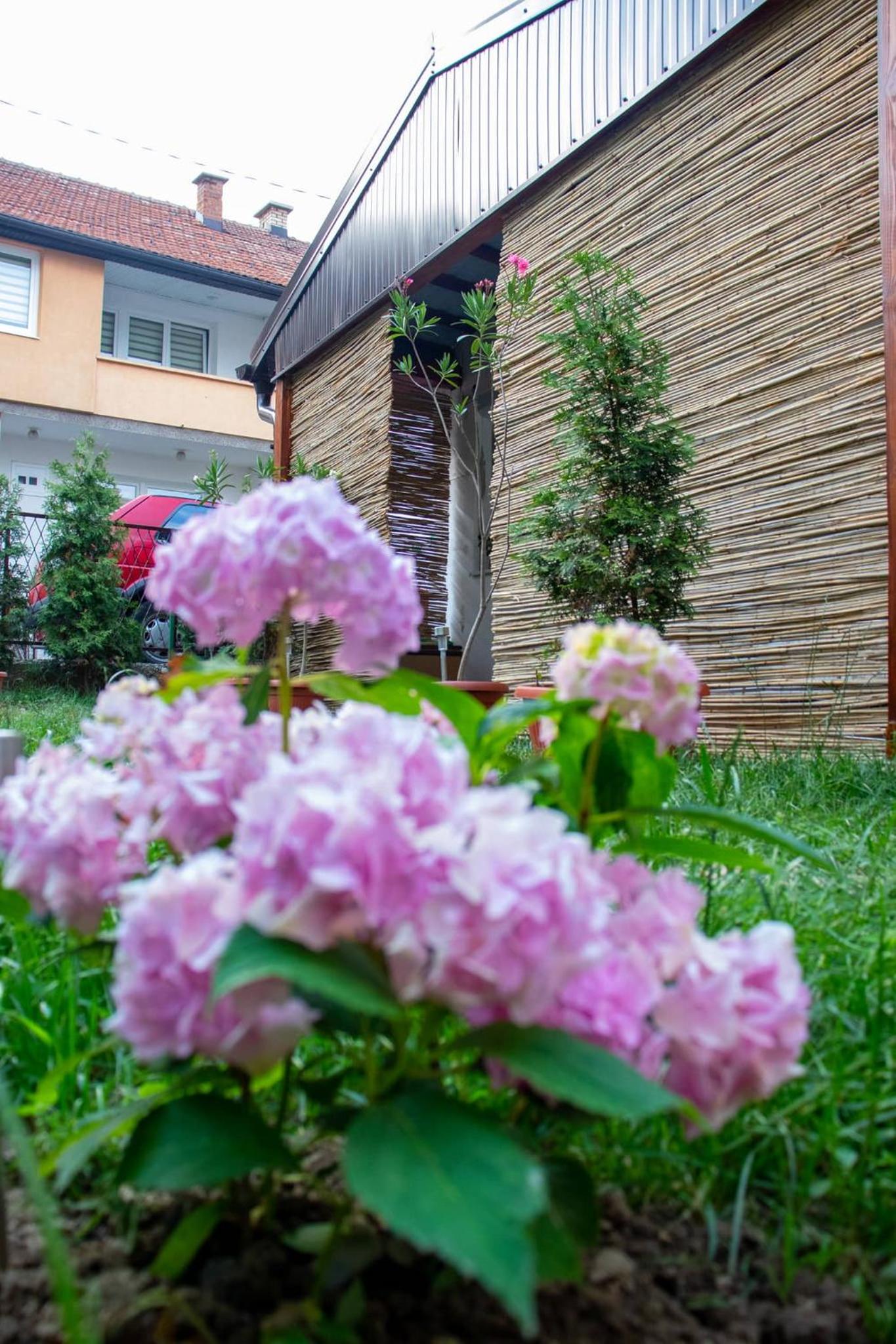 Orhideja Visoko