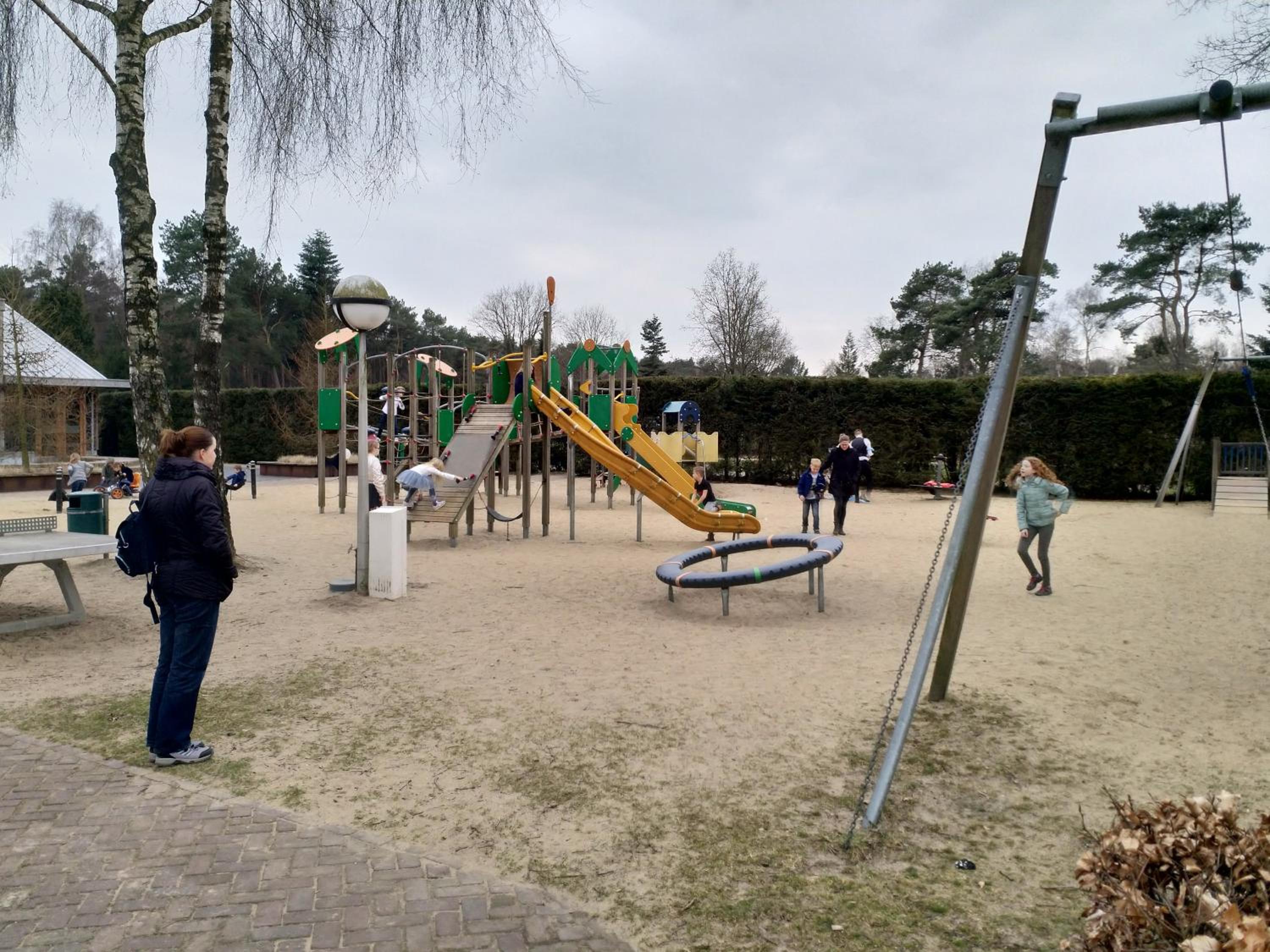 Photo 12