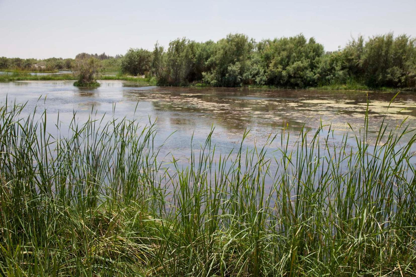 Azraq Lodge