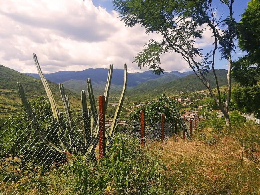 Casa Montagnola: naturaleza y tranquilidad view 2