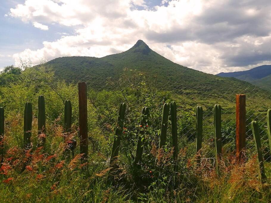Casa Montagnola: naturaleza y tranquilidad view 5