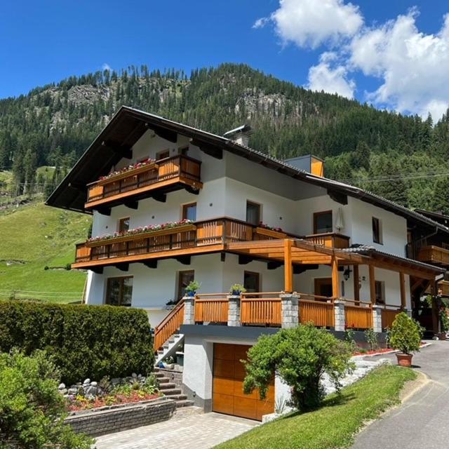 Haus Troger view 2