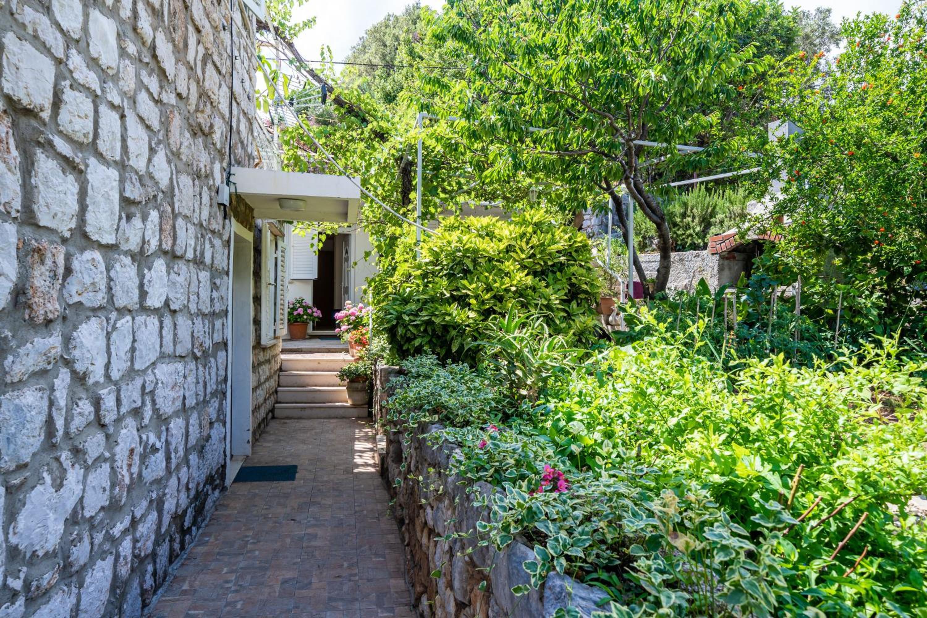 Apartments Zarac