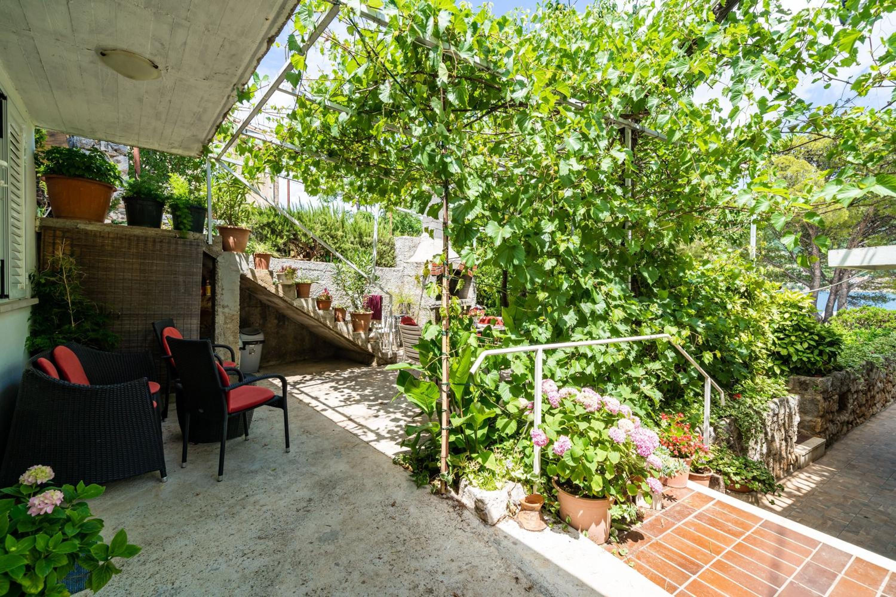 Apartments Zarac