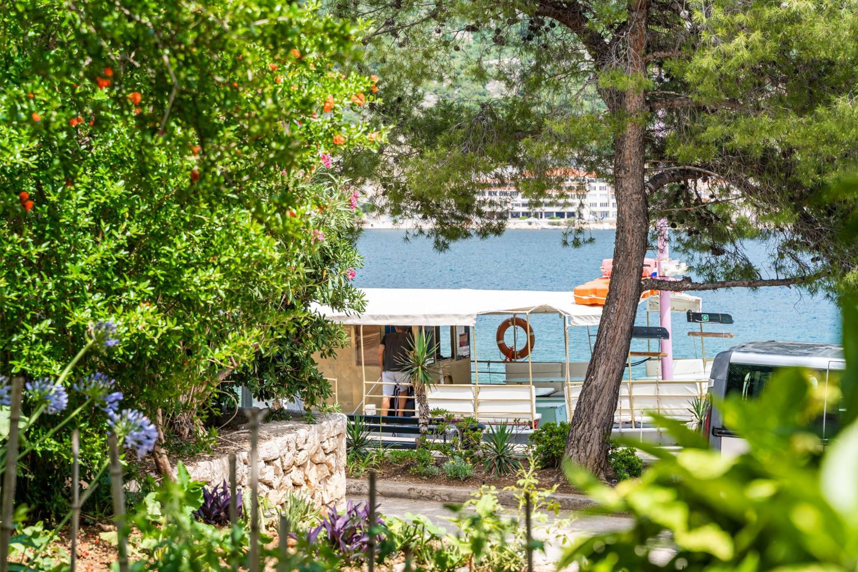 Apartments Zarac