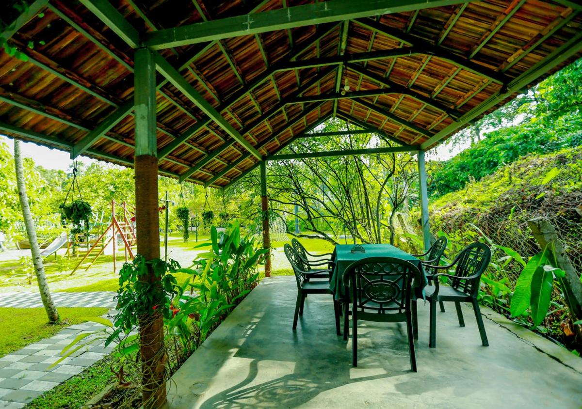 outdoor BBQ area