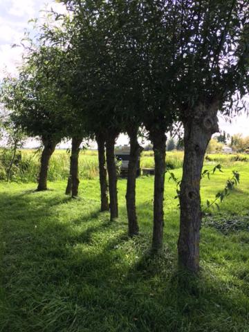 Photo 33