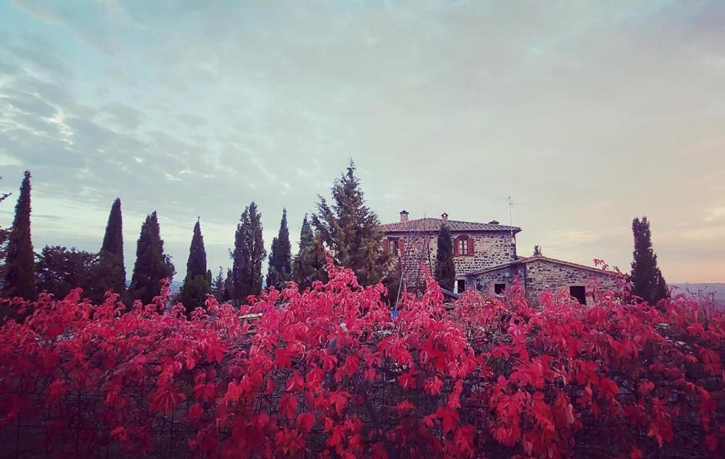 Casa al Maestro B&B view 5