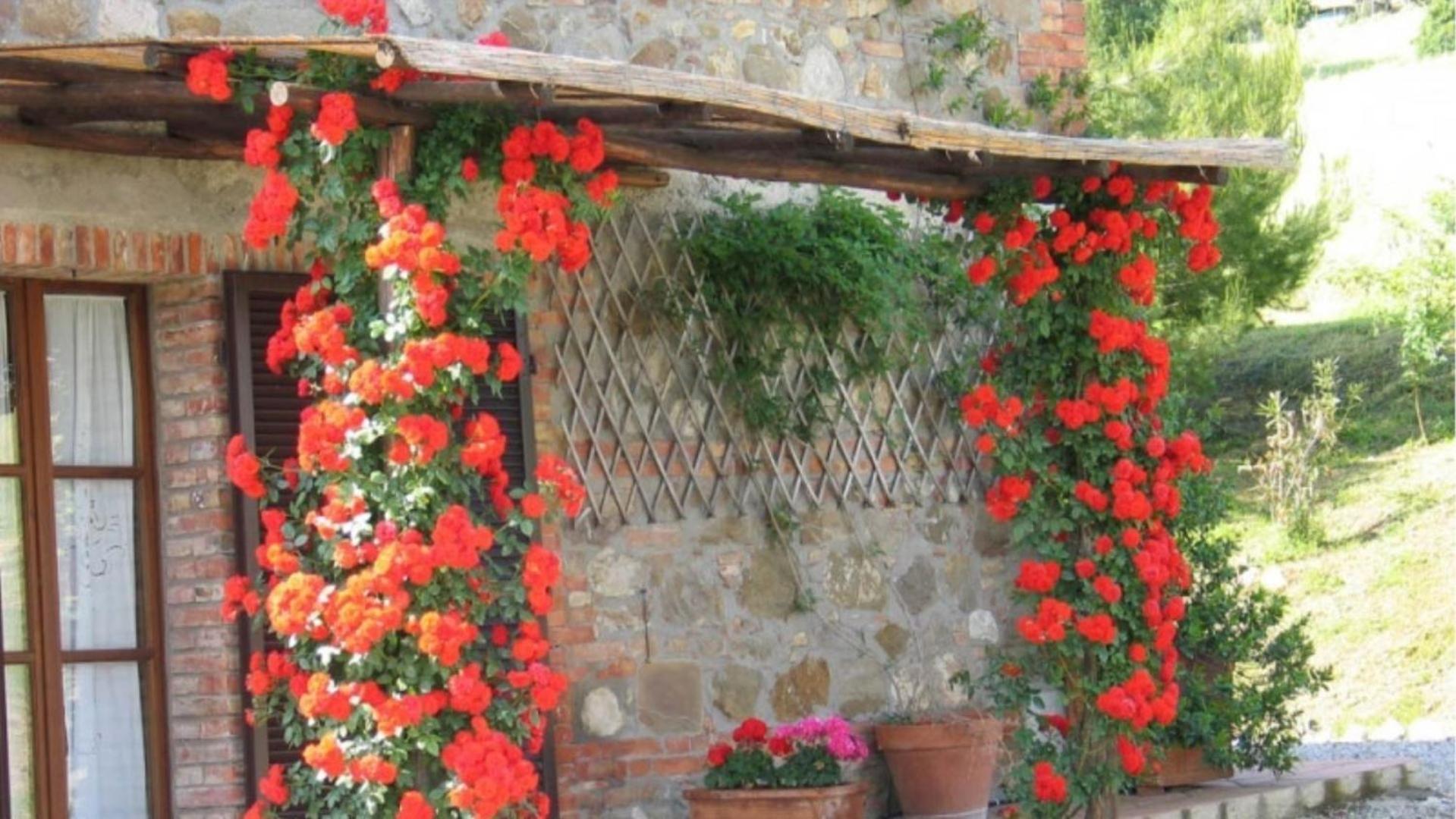 Podere contignano