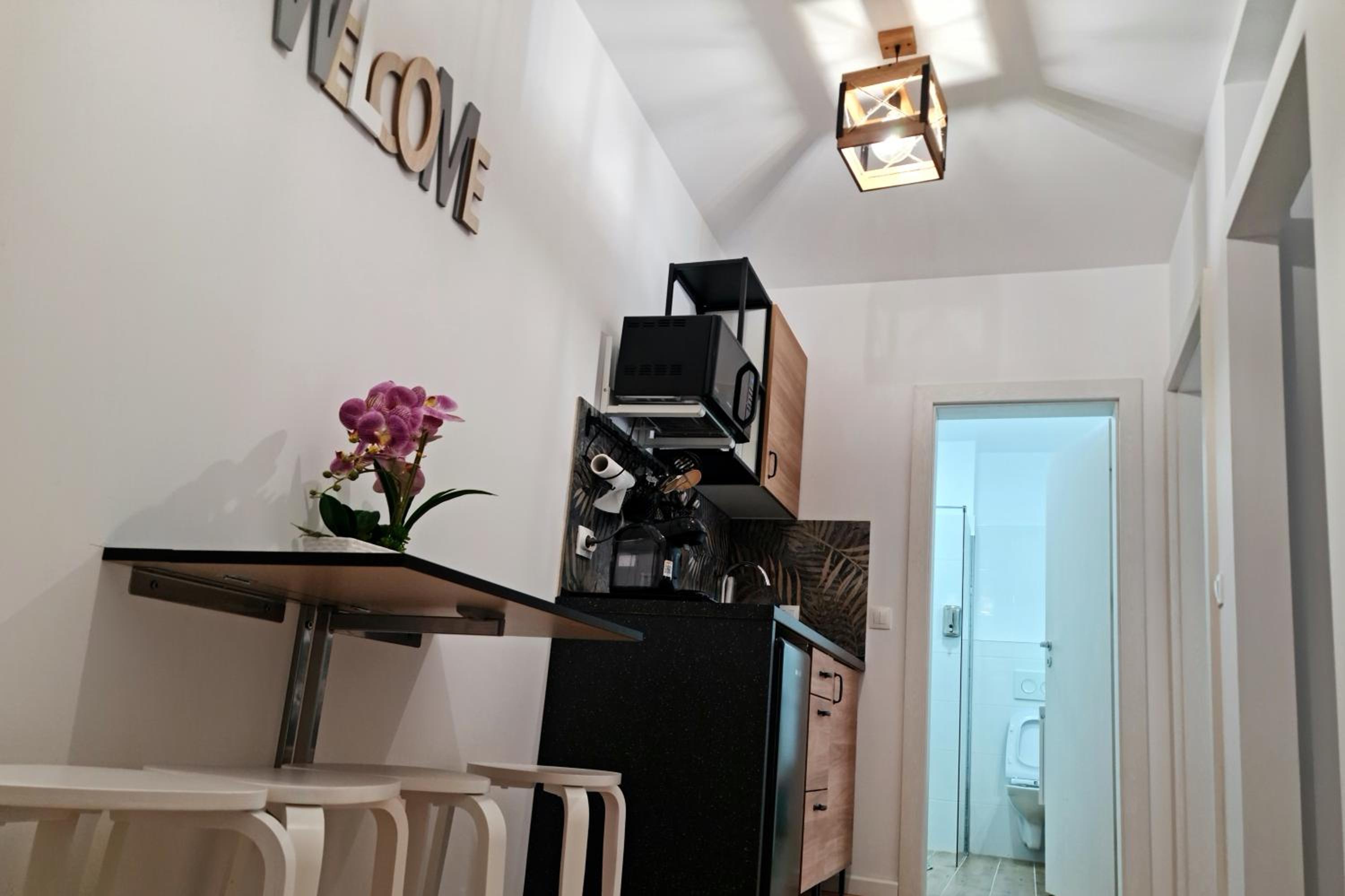 APARTAMENT ANTIK No6 ALBA IULIA view 4