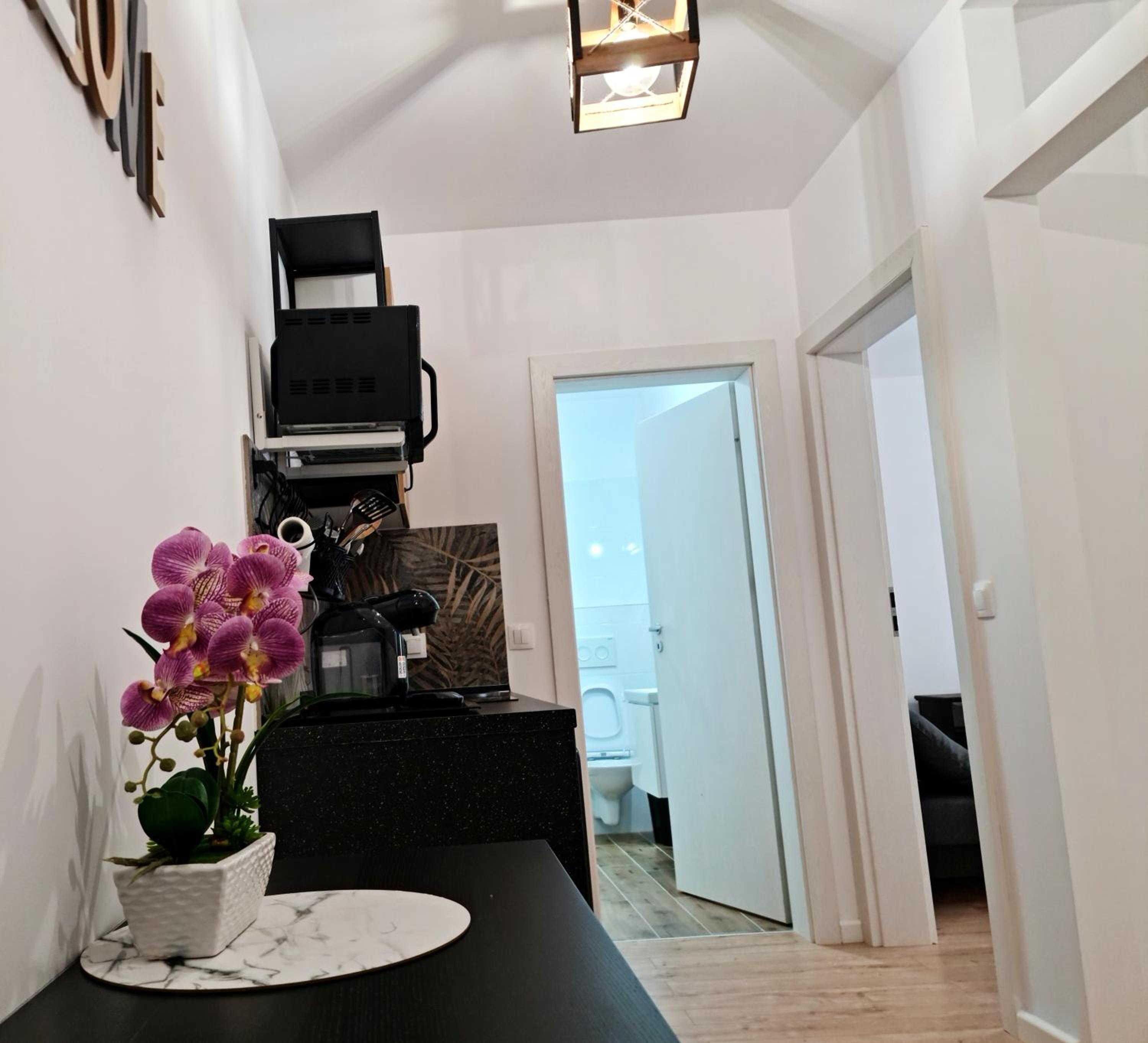 APARTAMENT ANTIK No6 ALBA IULIA view 5