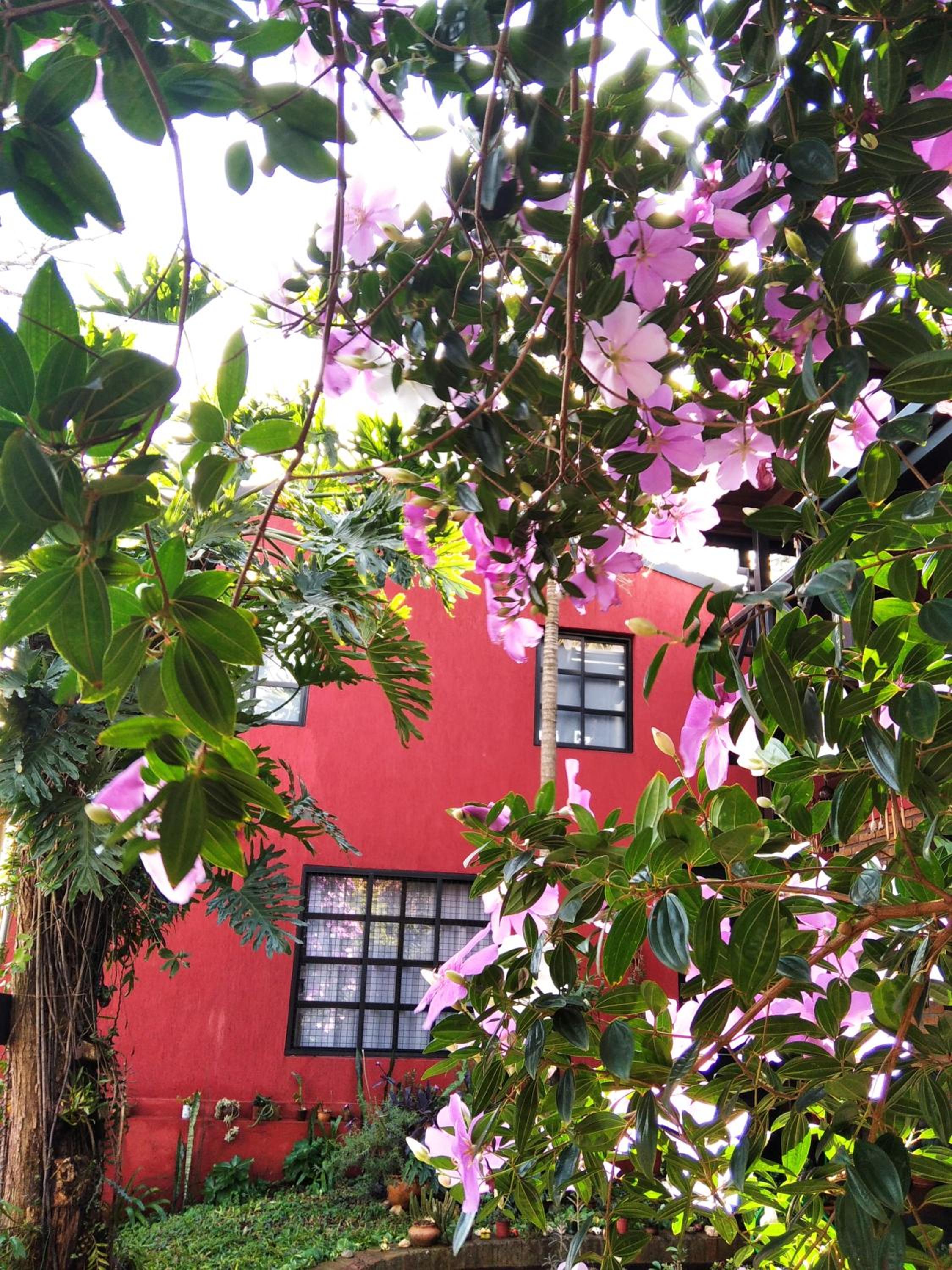 Casita de madera