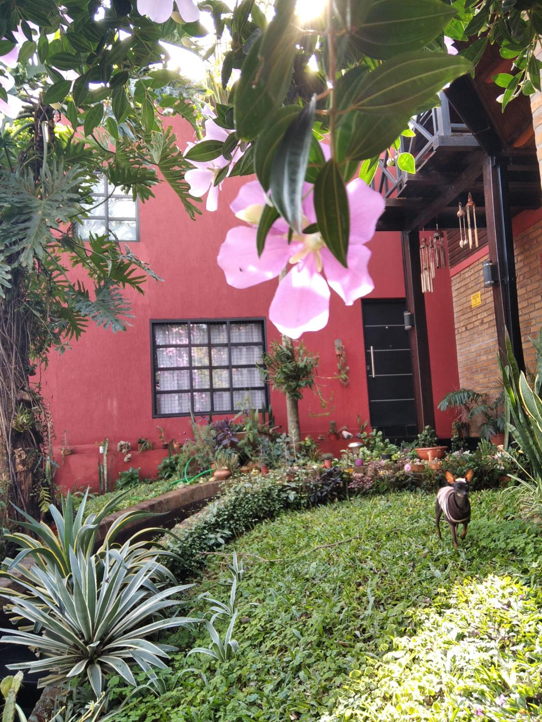 Casita de madera