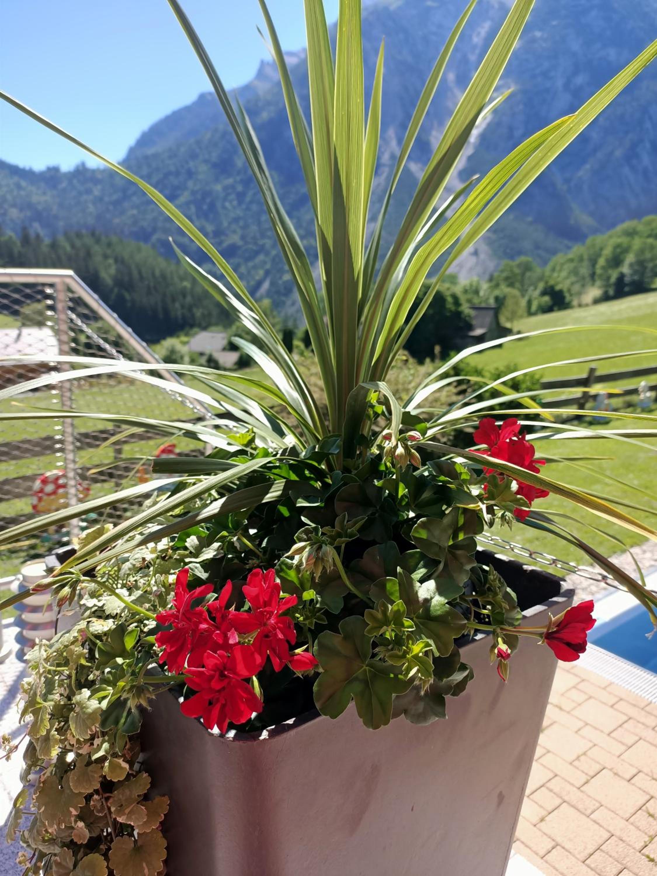 Ferienhaus Hanni