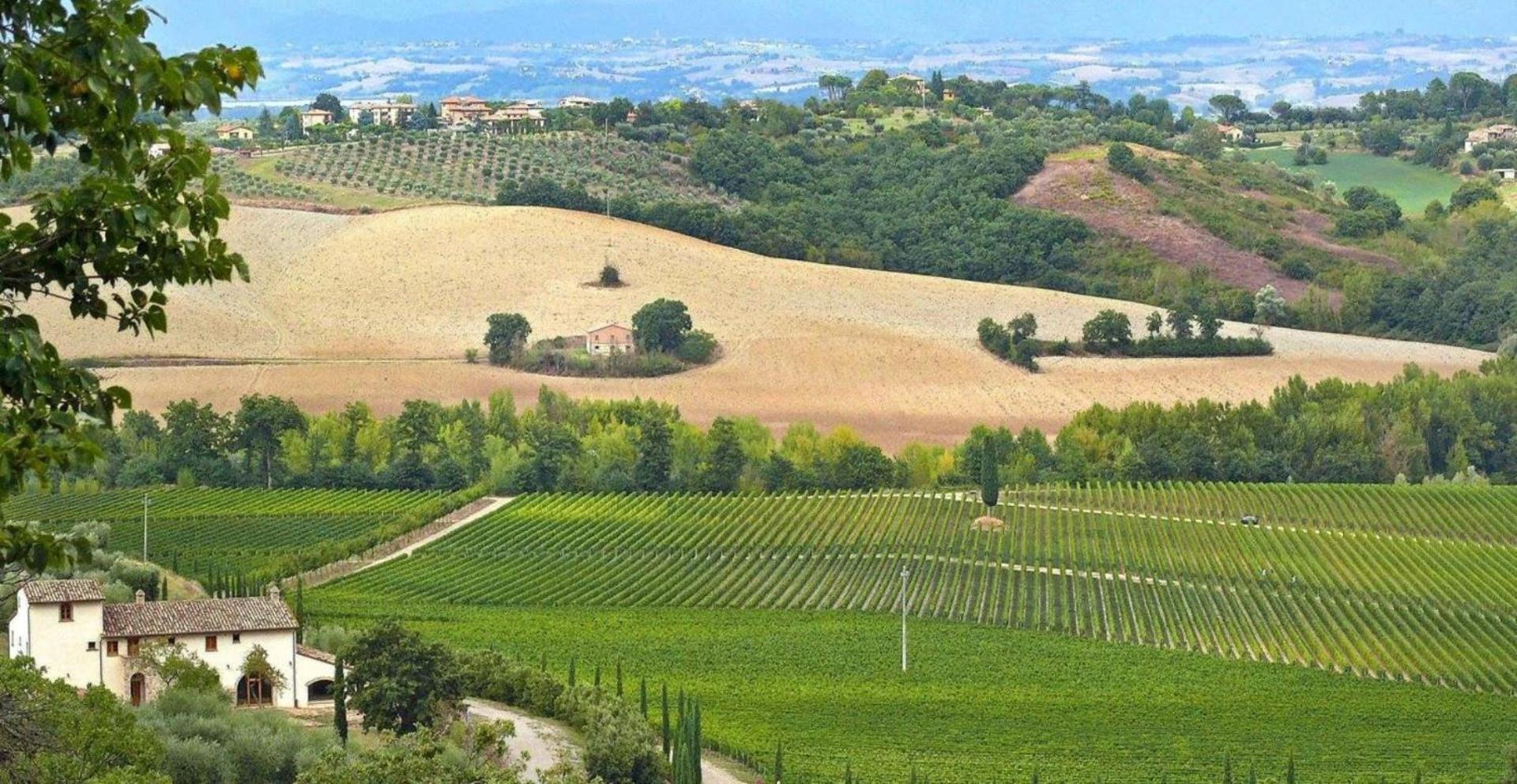 Villa le buche view 5