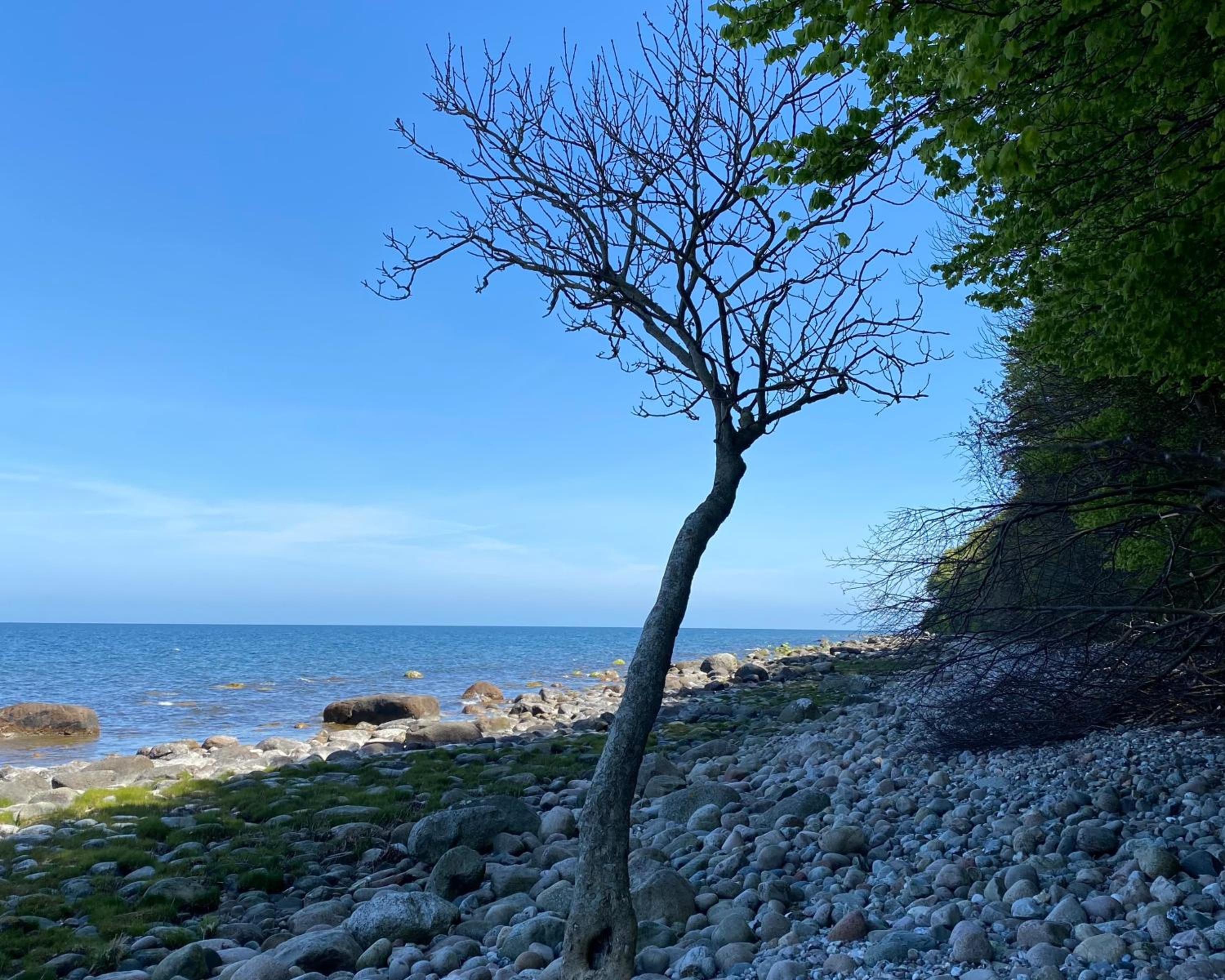 Sonnendeck Rügen