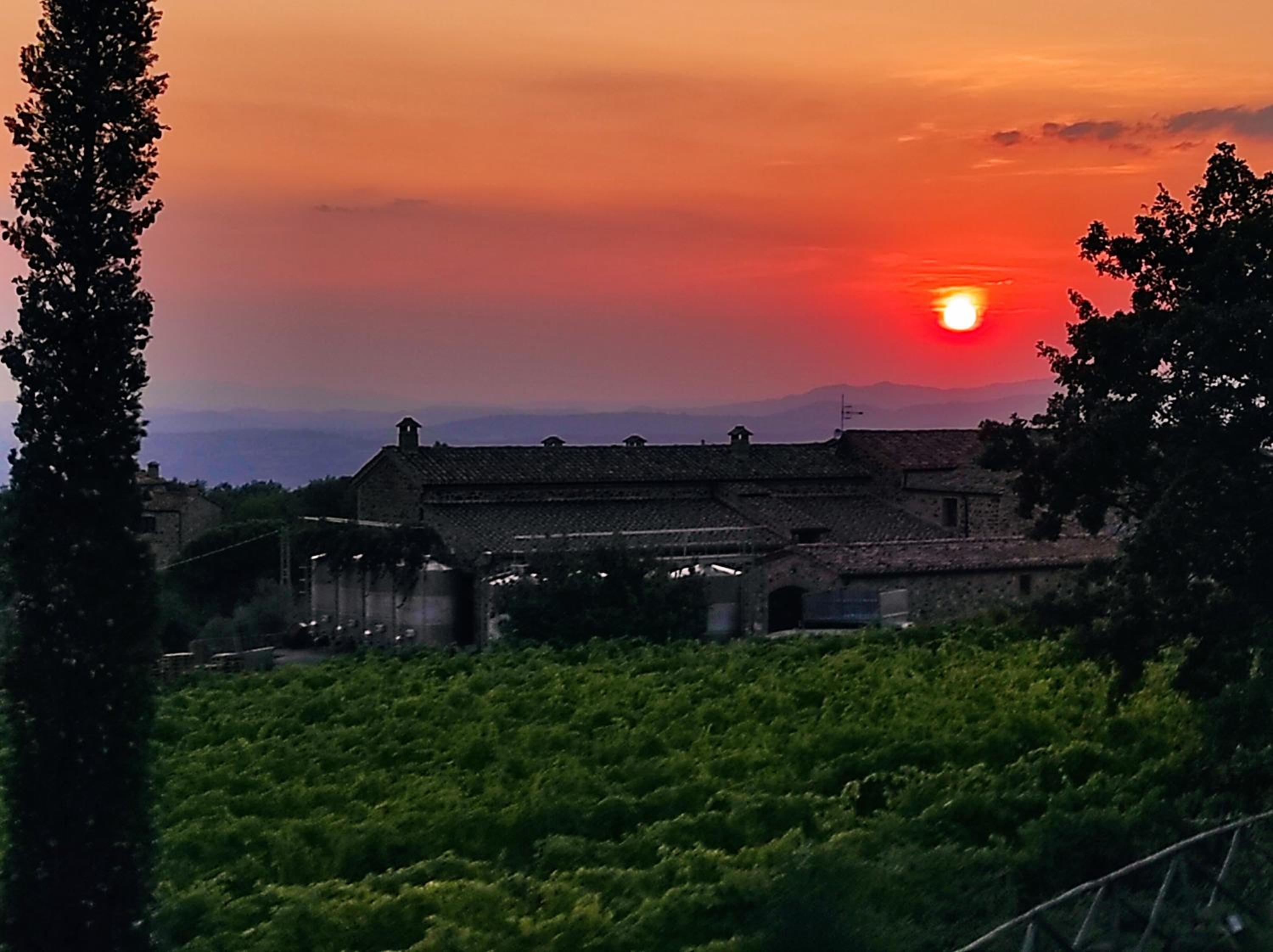 Castel Brunello