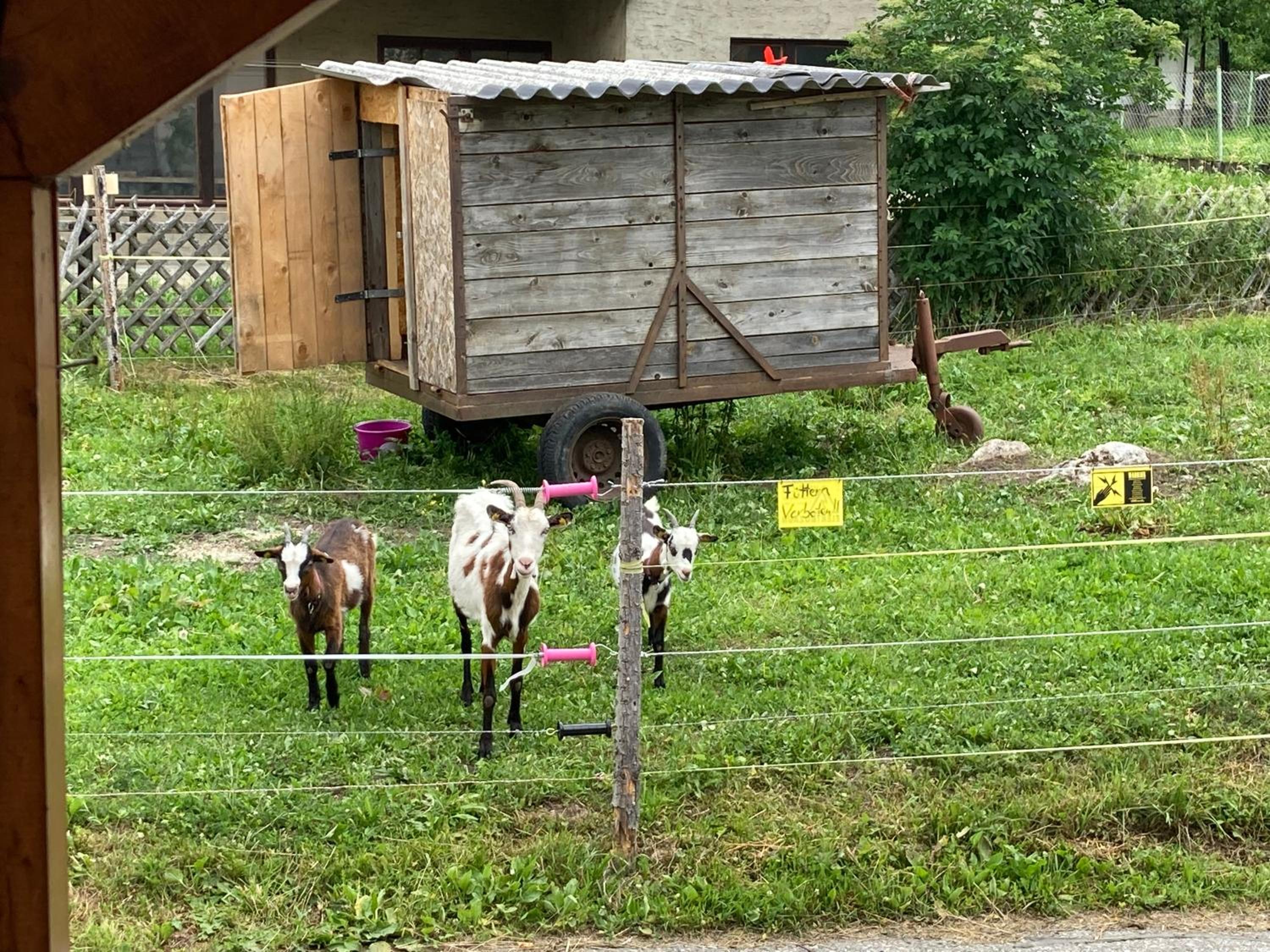 Ferienhaus Auszeit Natur bis zu 10 Personen