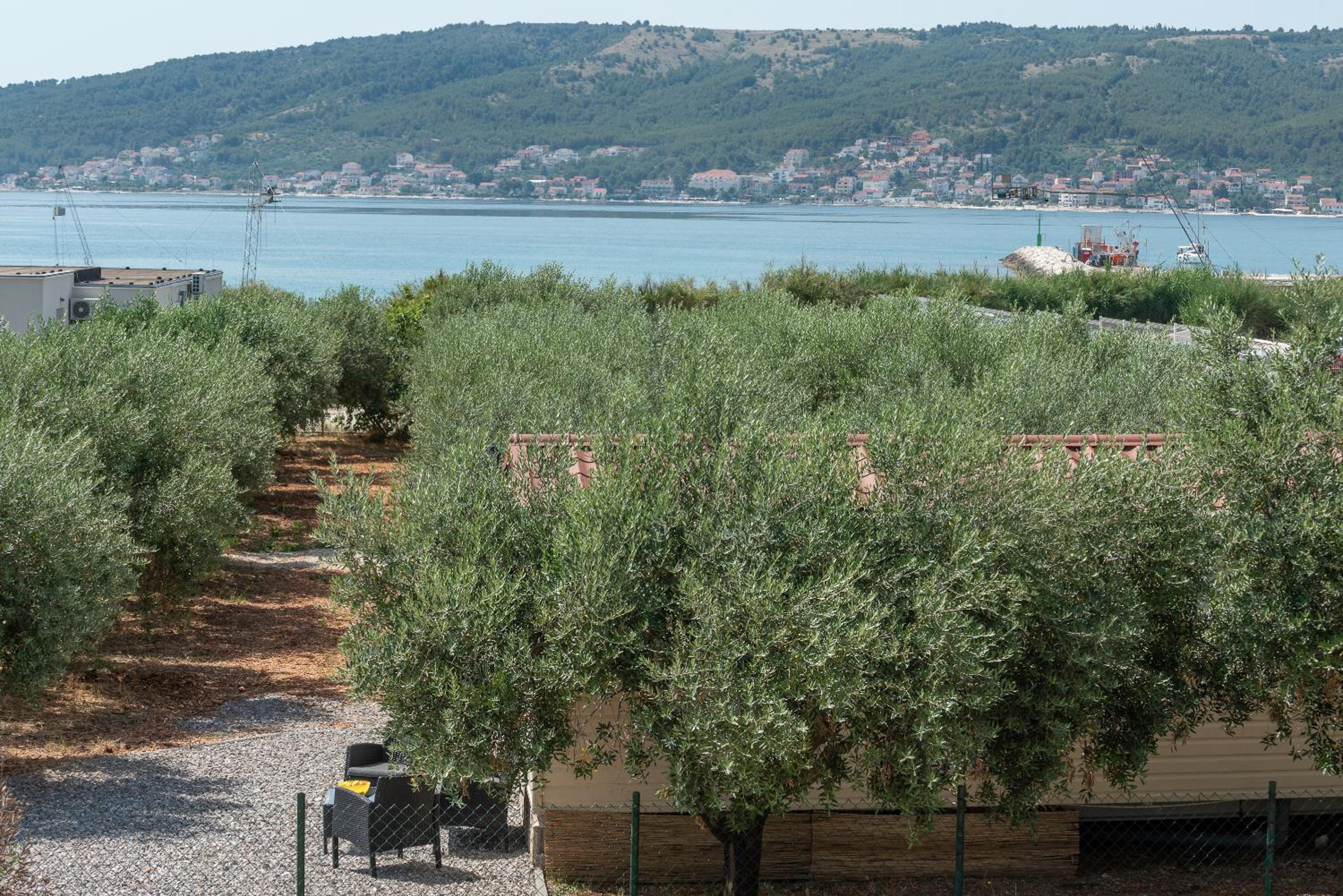 'Olive grove' Camping House-near the beach