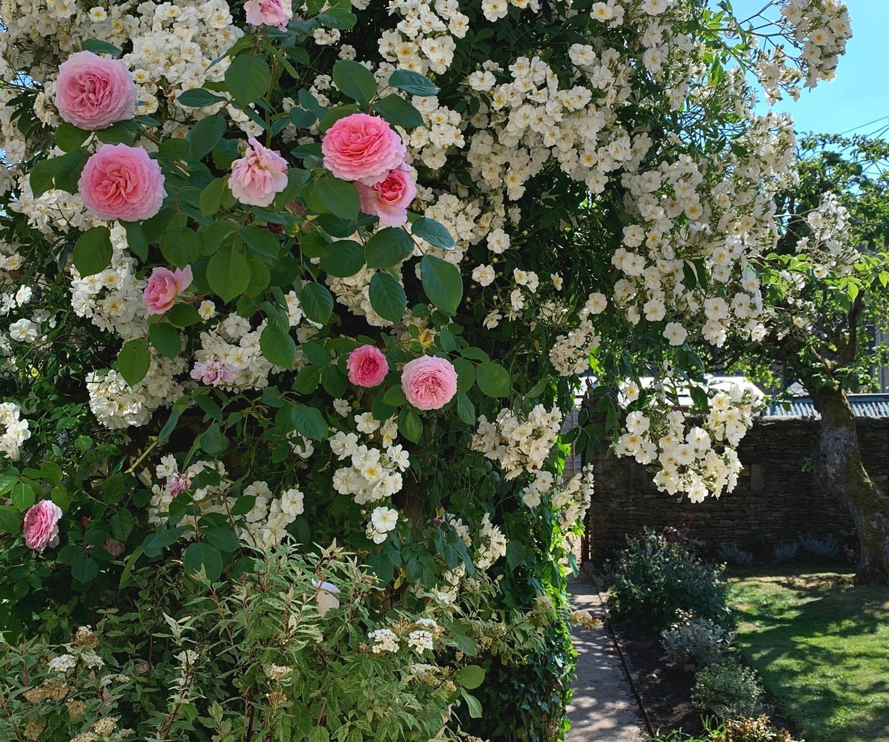 Photo 8