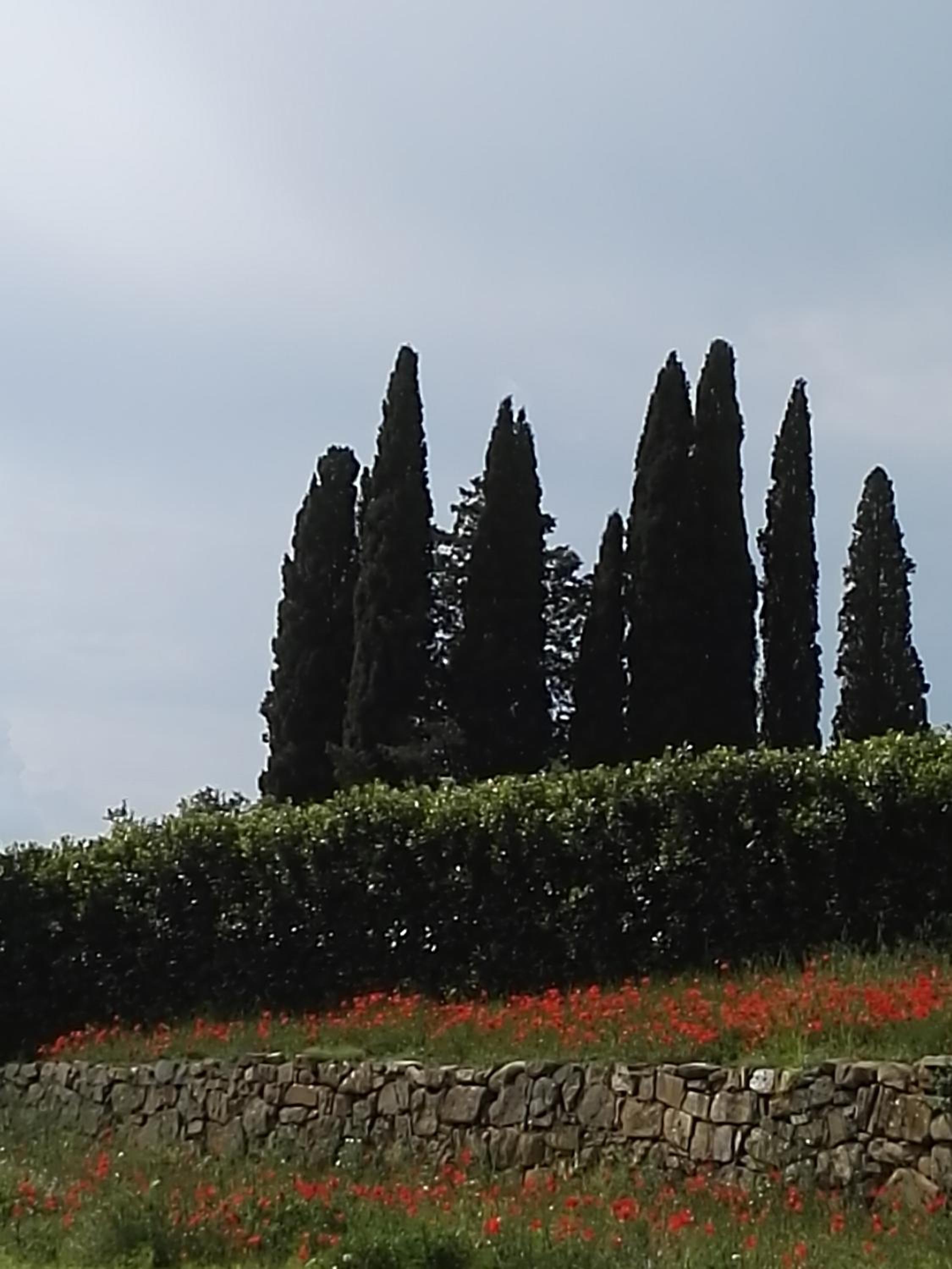 Castel Brunello