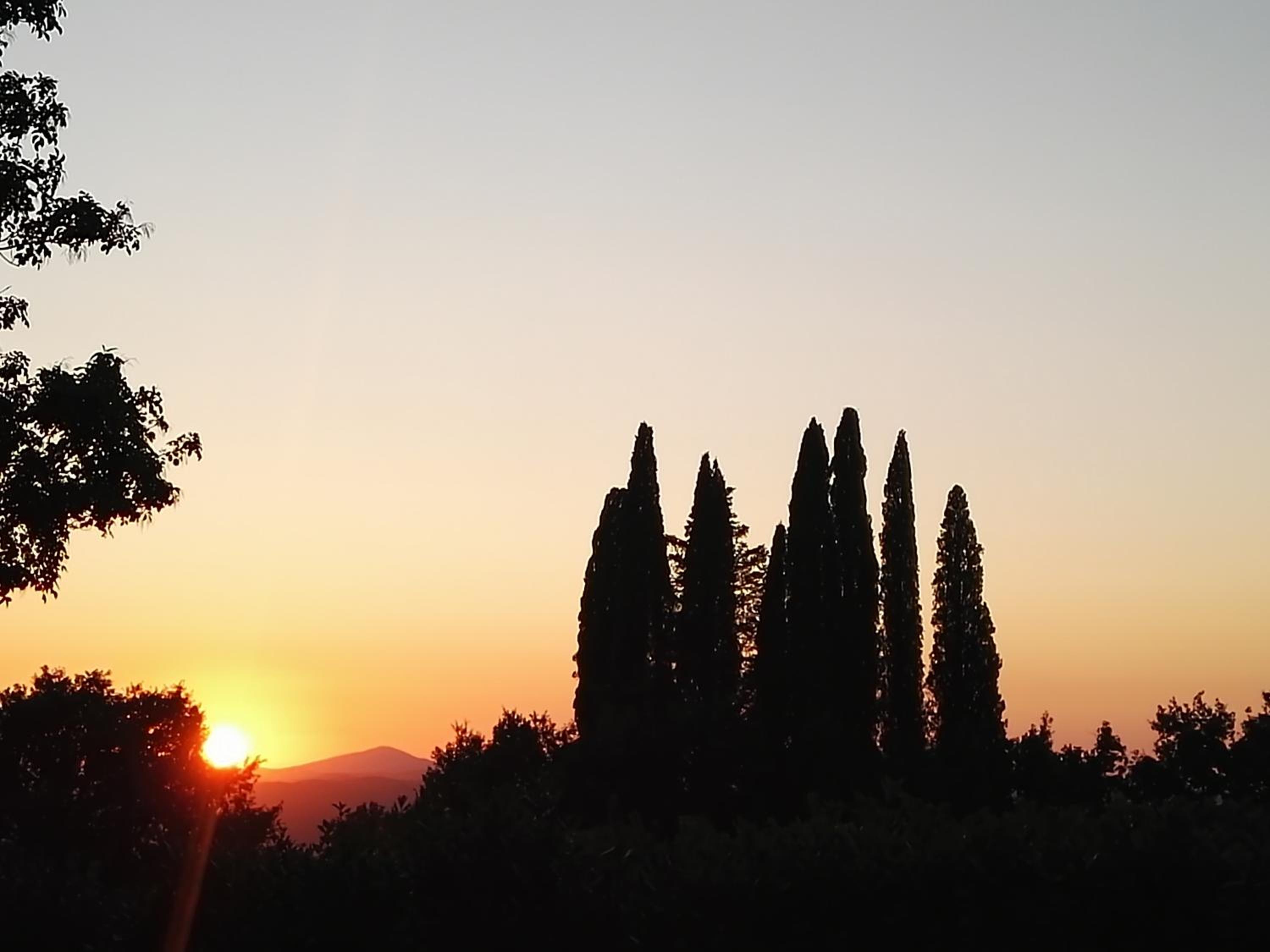 Castel Brunello