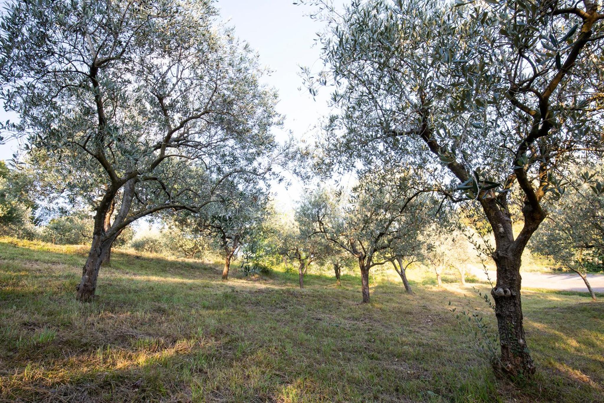 Agriturismo ValBarè