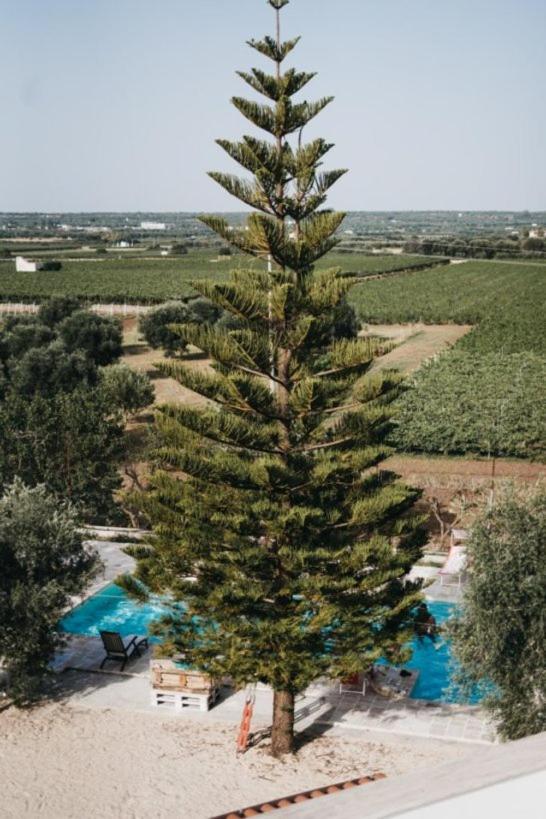 Masseria Macchiarola