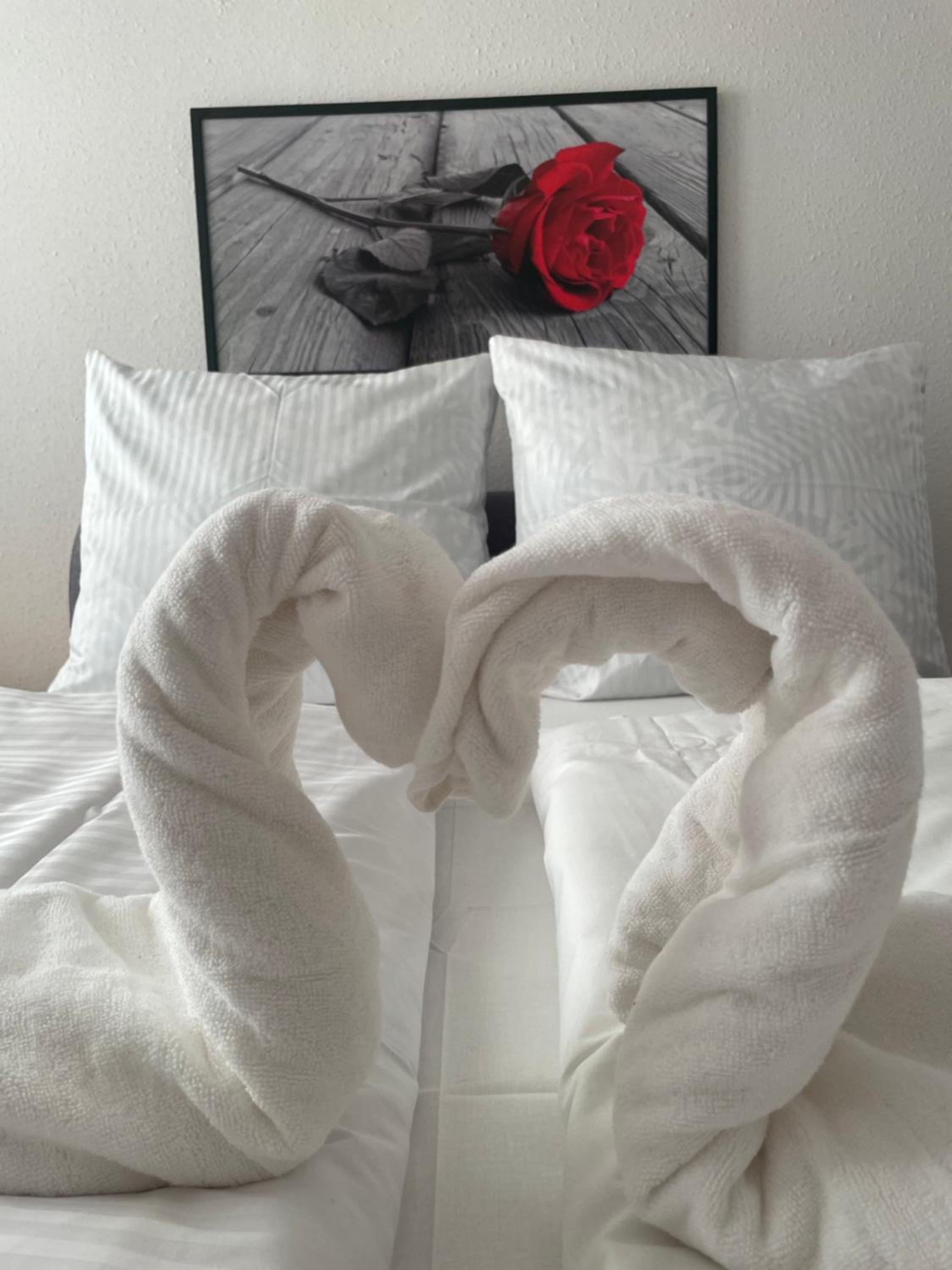 Apartament Regina view 5
