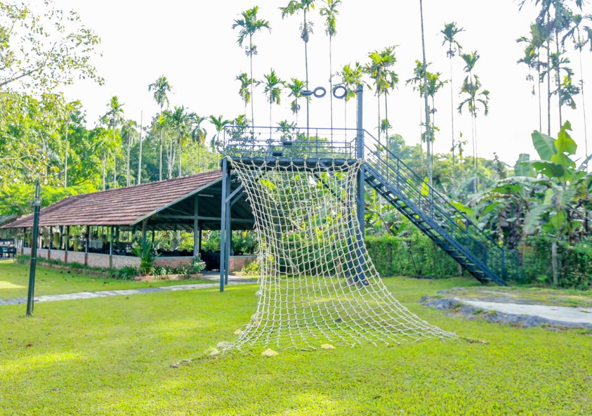 children's play area