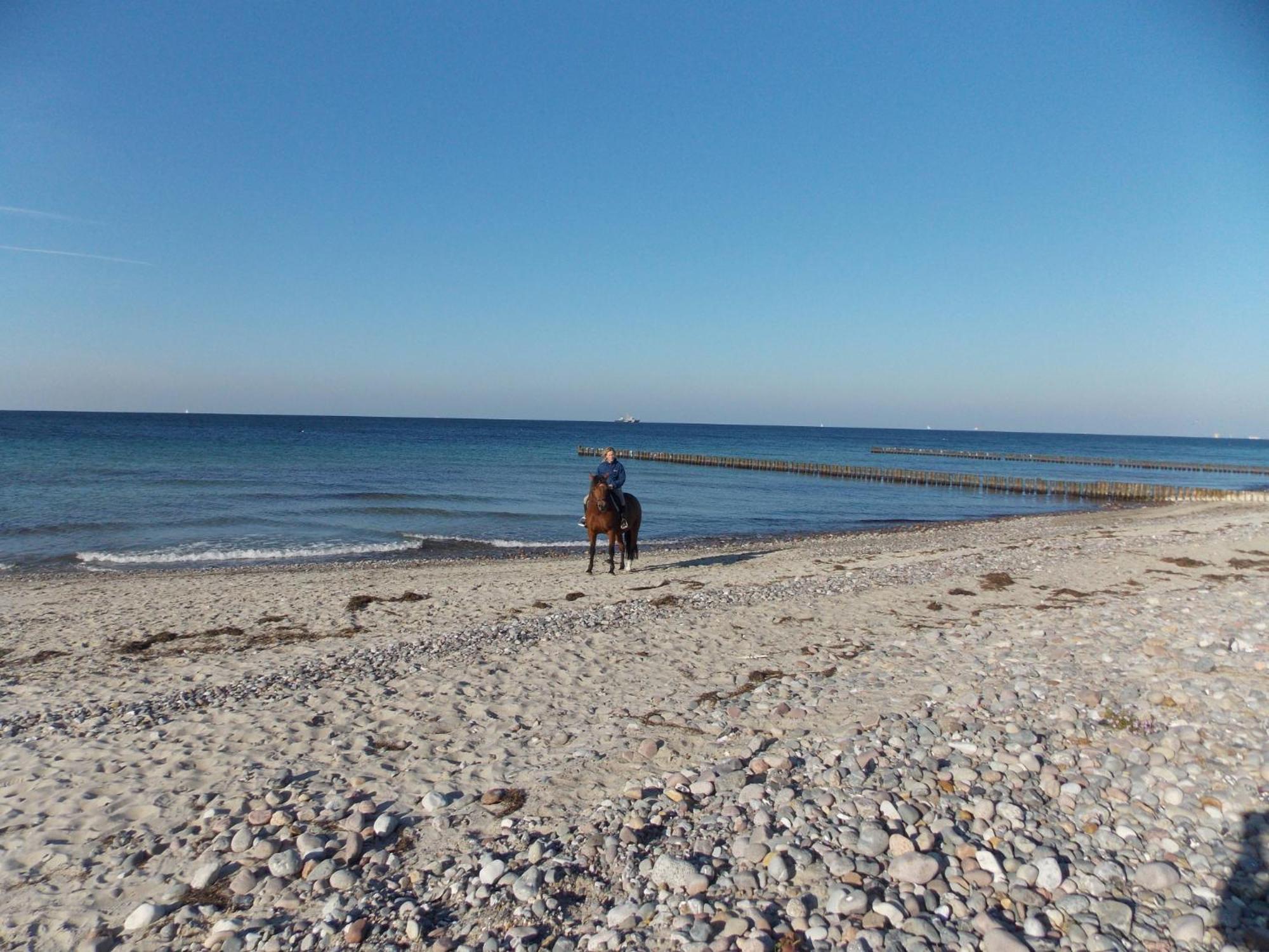 Ferienhaus Nordwind