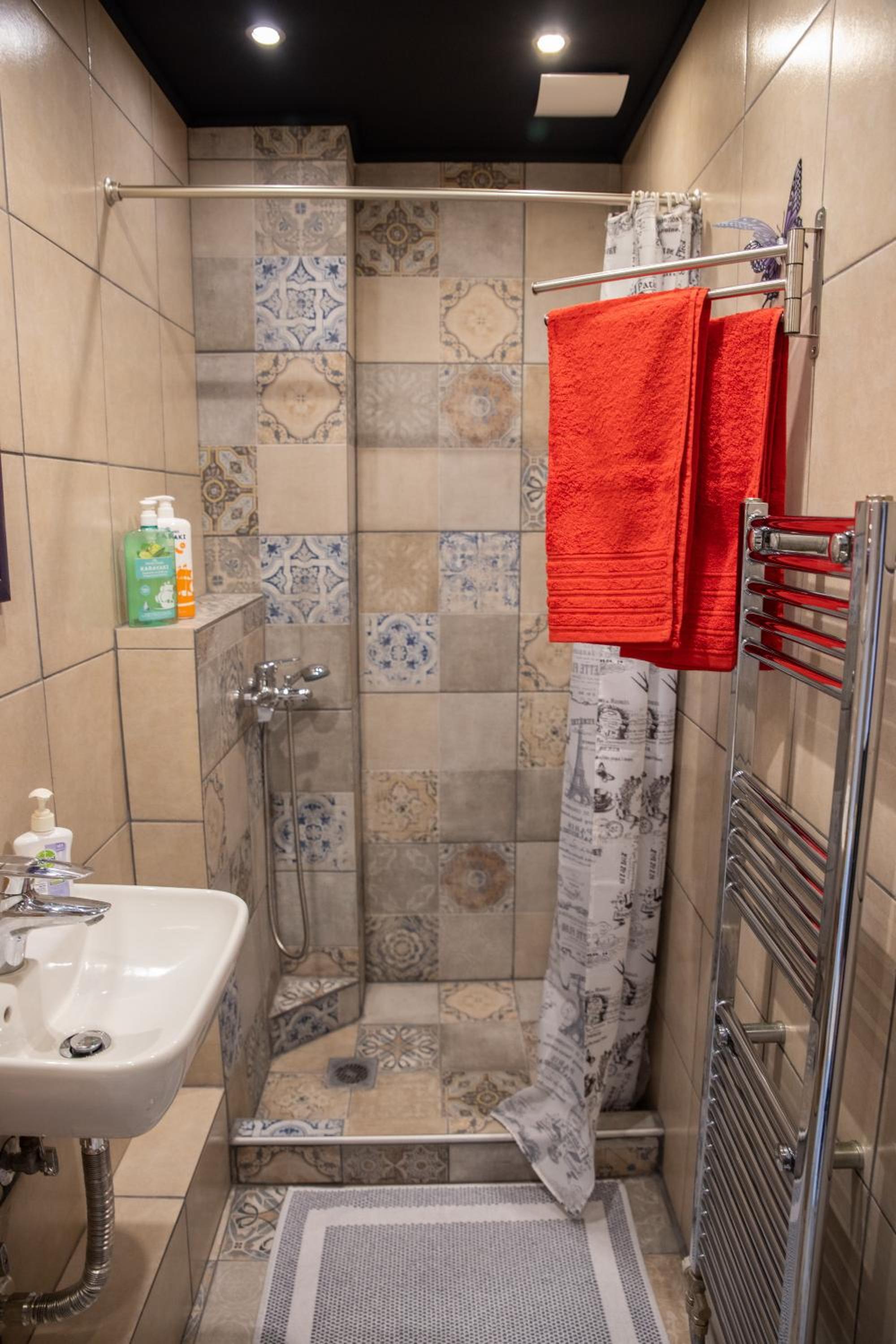 Lunar Meteorites photo 2