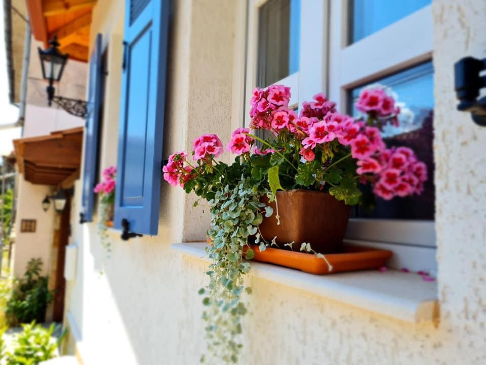 GUESTHOUSE MARIA / КЪЩА ЗА ГОСТИ МАРИЯ / GÄSTEHAUS MARIA